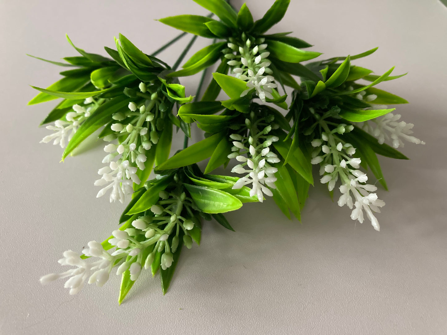 White Tipped Heather