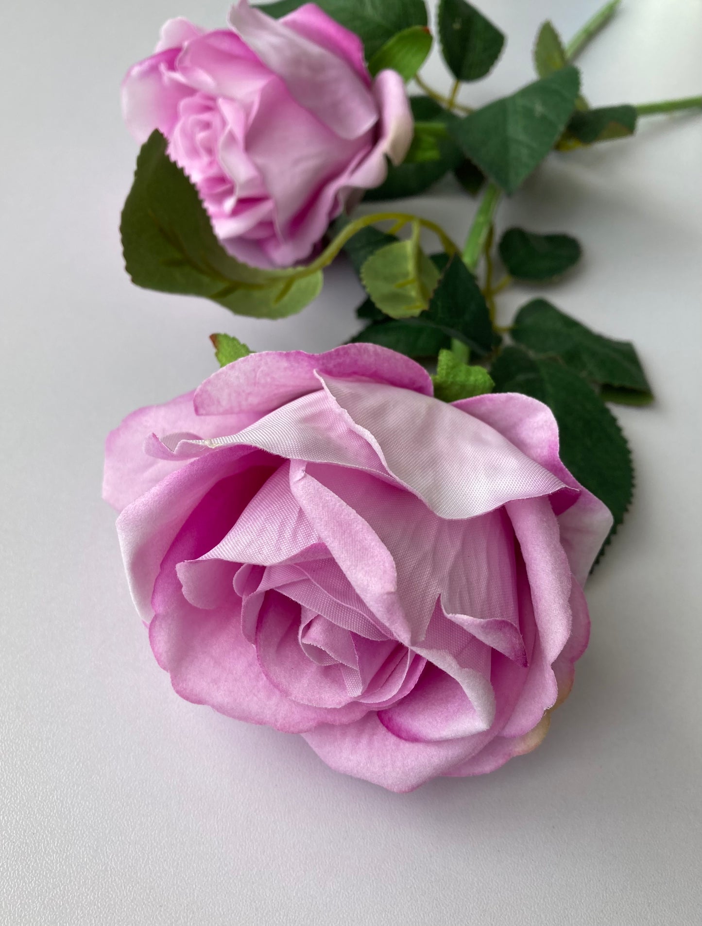 Lilac Velvet Soft Touch Rose