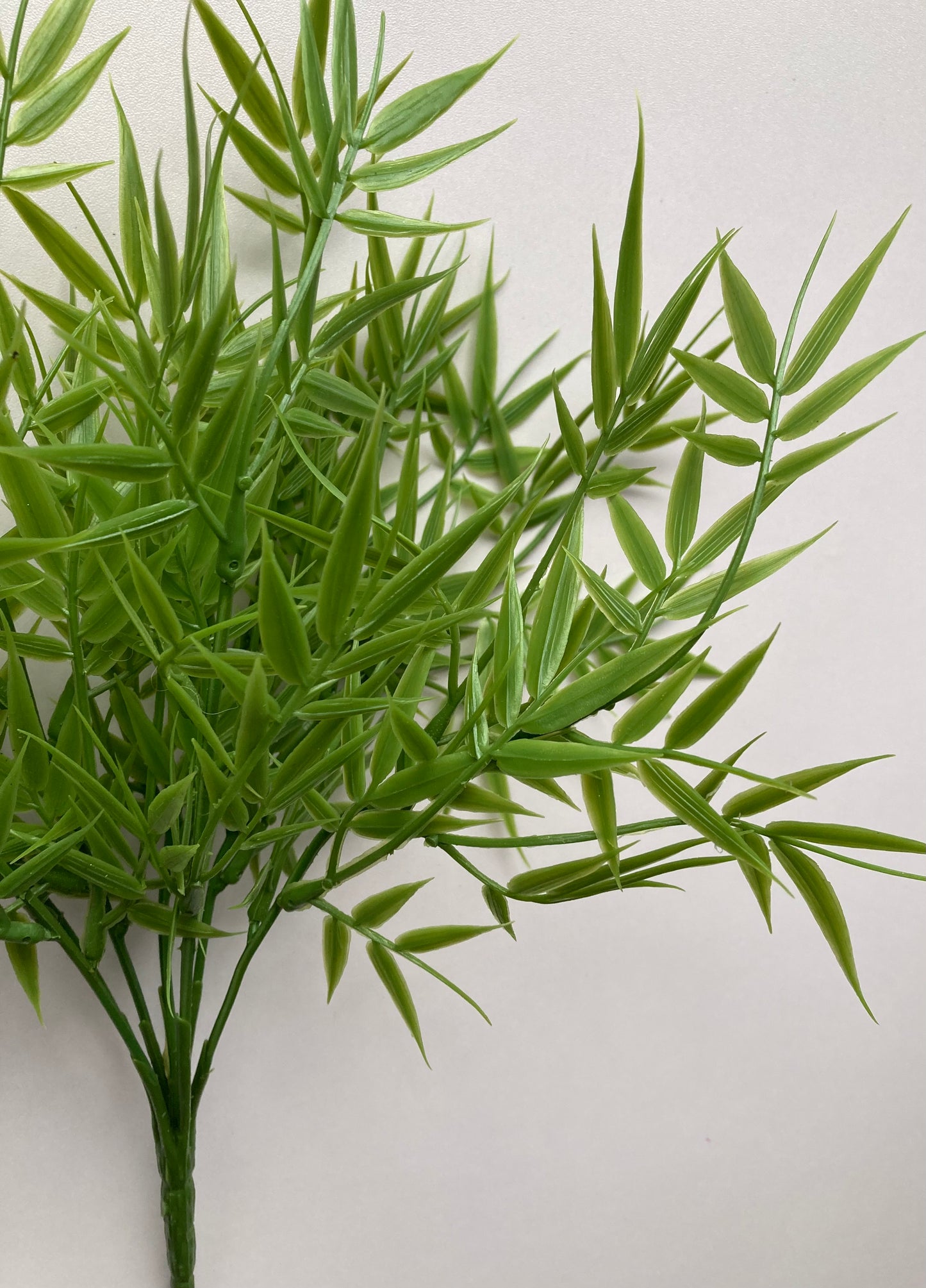 Small Bamboo Foliage