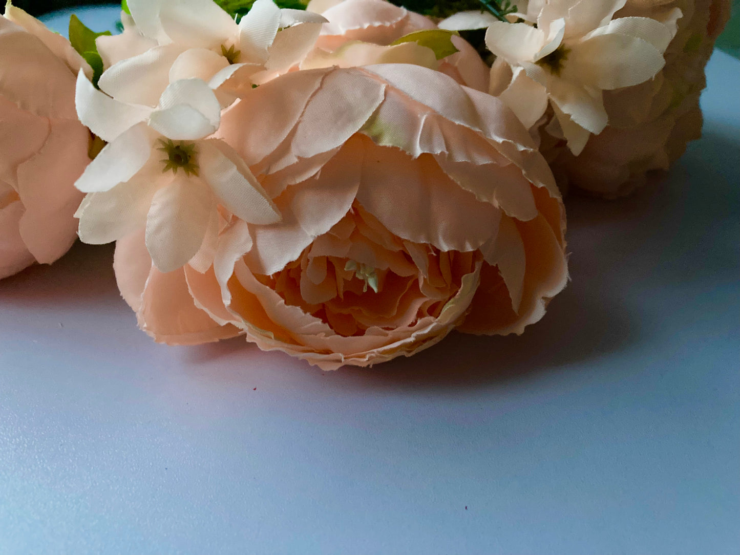 Peach Peony Bush