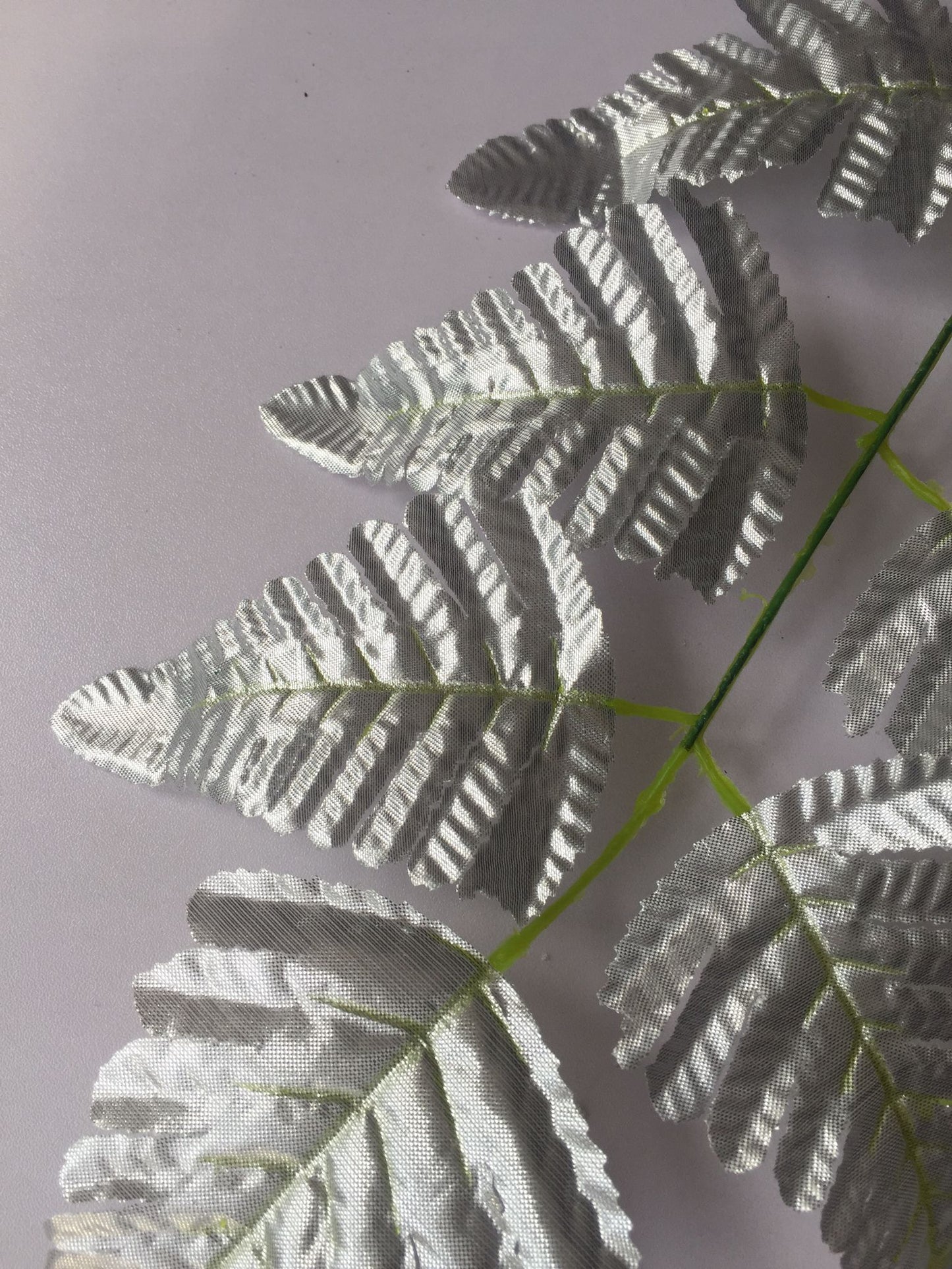 Silver Leaf Stem