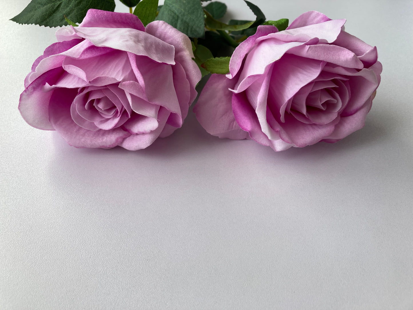 Lilac Velvet Soft Touch Rose