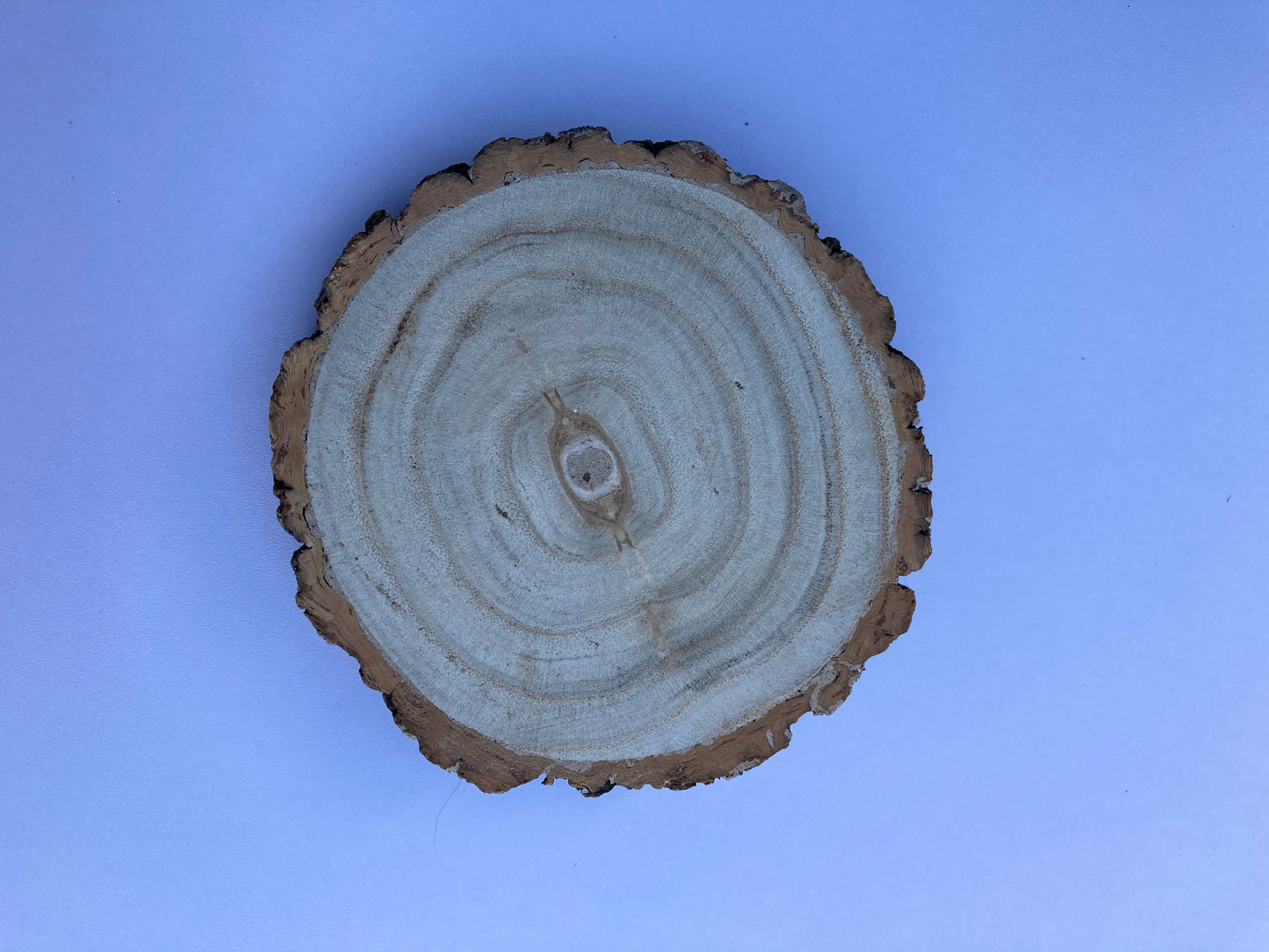 Natural Wooden Slice