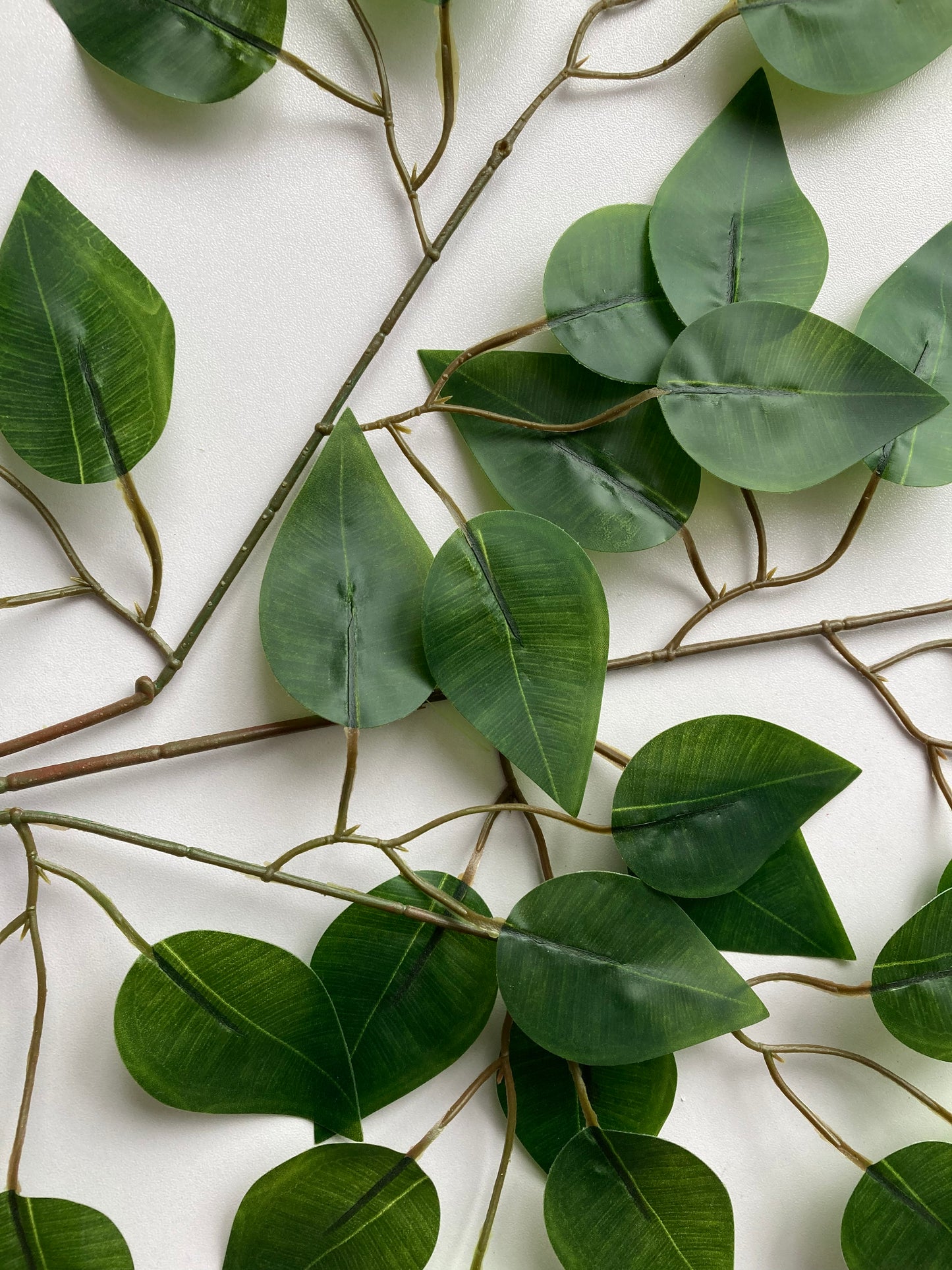 Mixed Green Ficus Leaves Spray