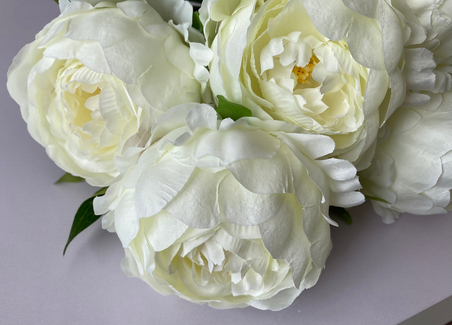 Large 5 Stem Ivory Peony Bunch