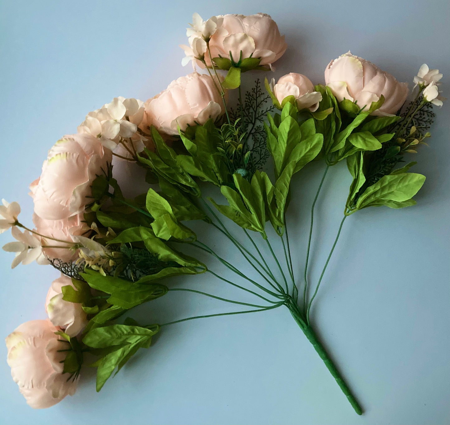 Peach Peony Bush