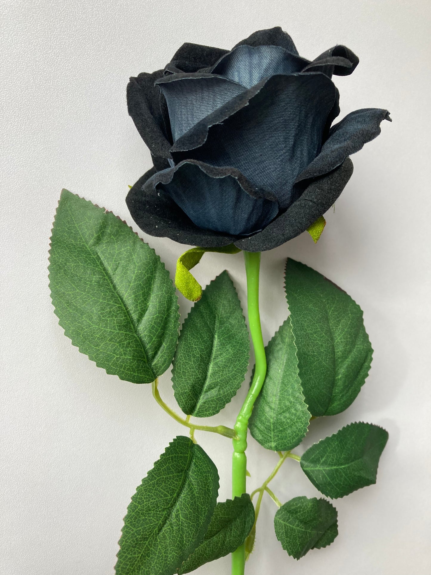 Black Velvet Rose Single Stem