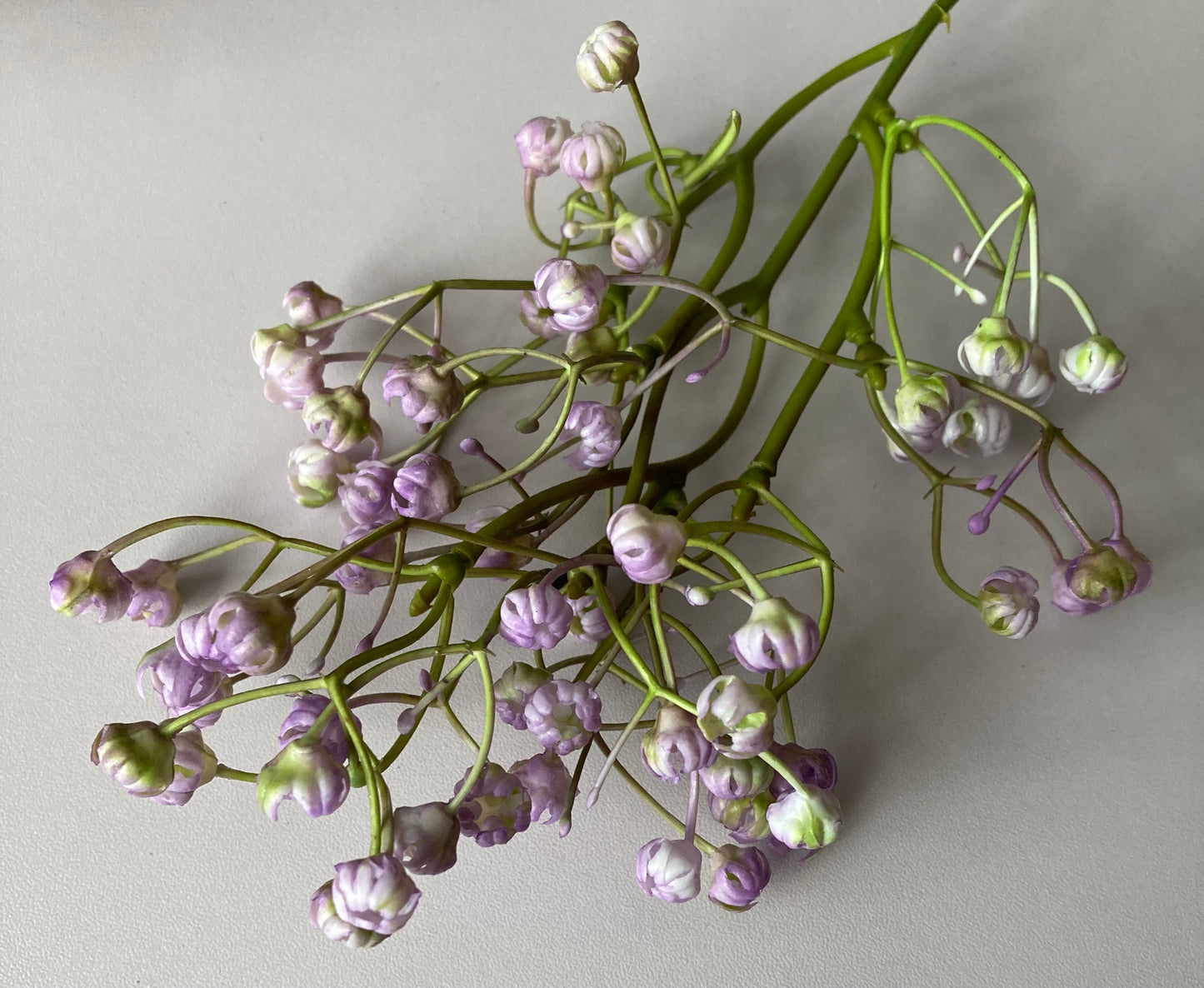 6 Purple Baby's Breath Bunch