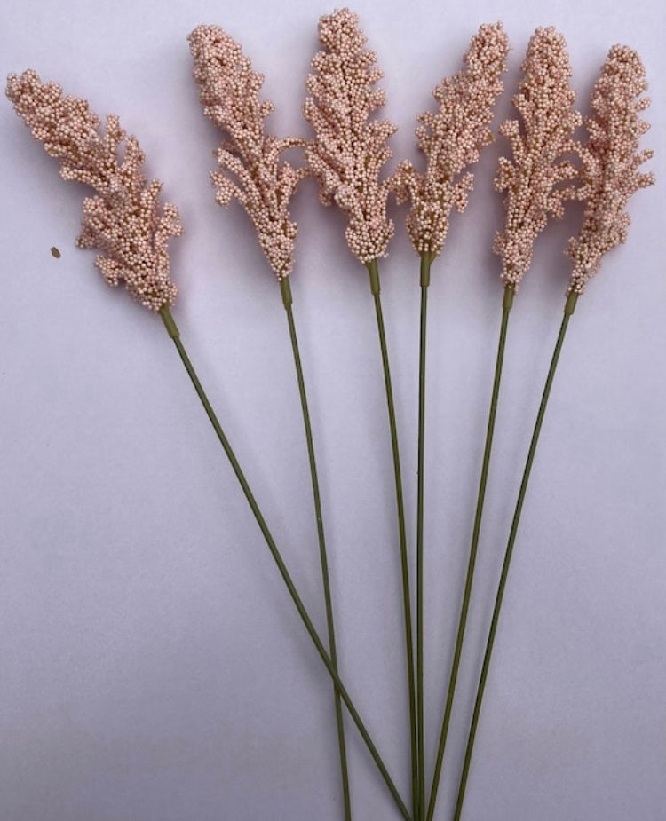 6 Vintage Pink Seeded Astilbe Stems