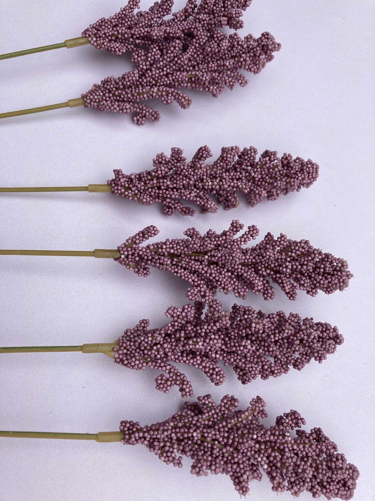 6 Stem Purple Seeded Astilbe