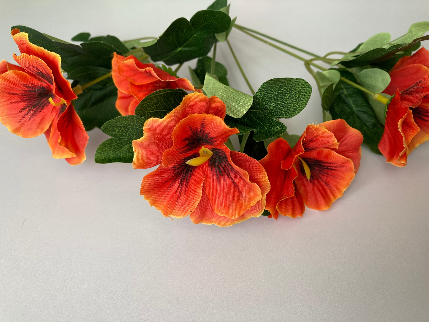 Orange Pansy Bunch