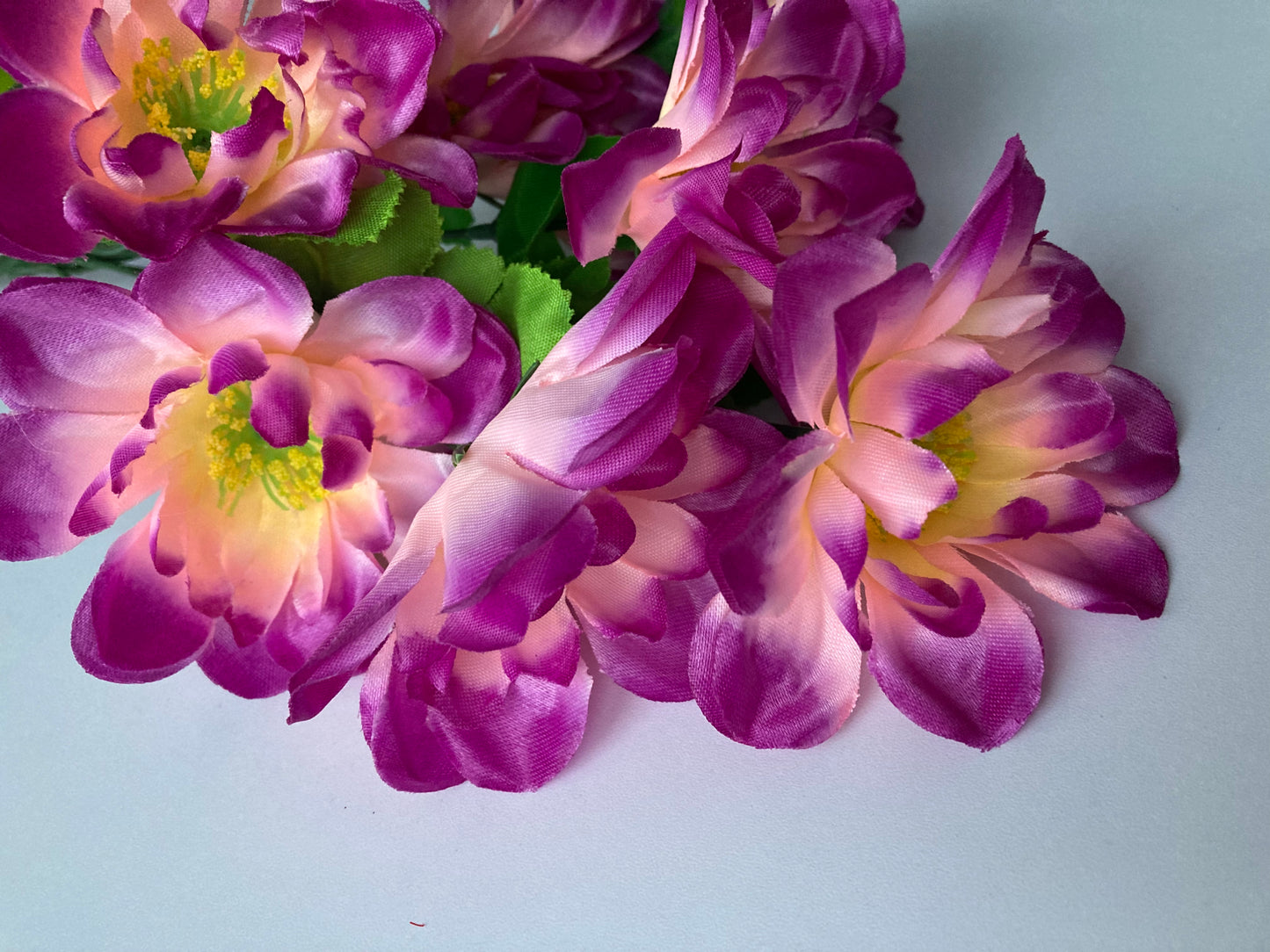 Purple Tipped Dahlia Bunch