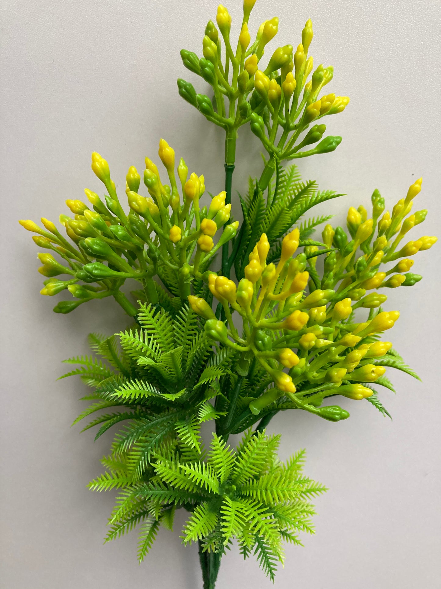 Yellow Berry Bush