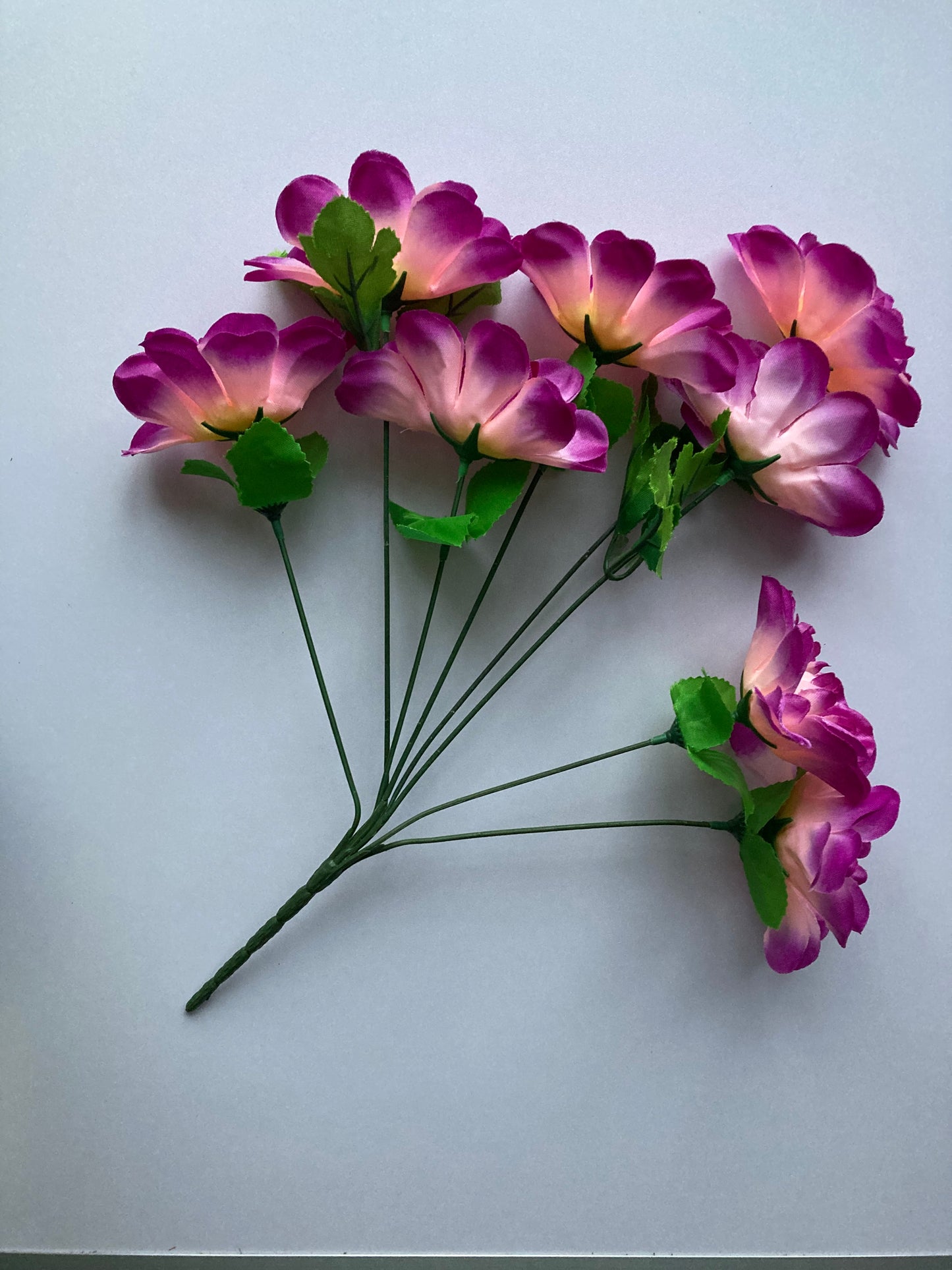 Purple Tipped Dahlia Bunch