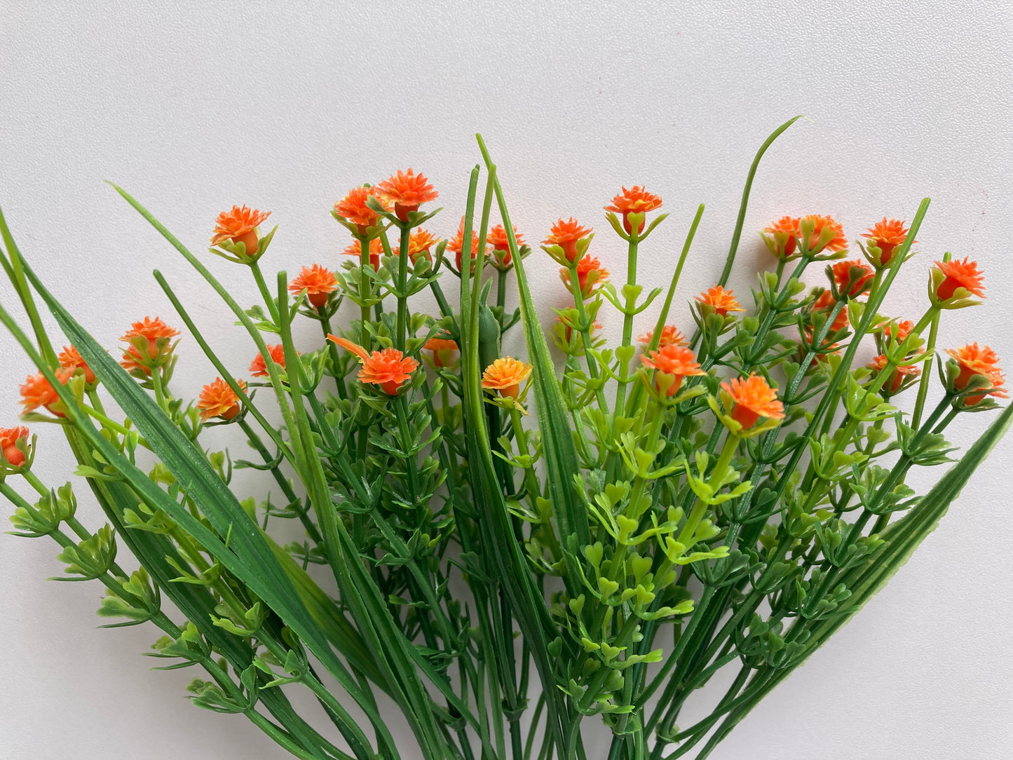 Small Orange Gyp Foliage