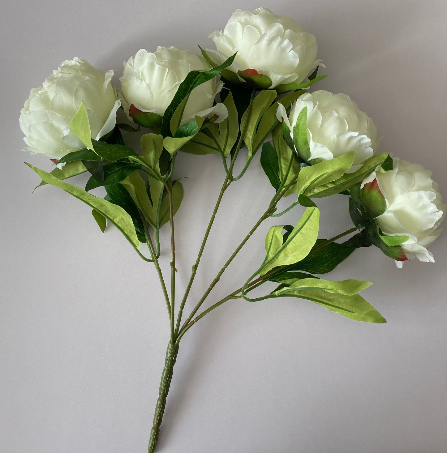 Large 5 Stem Ivory Peony Bunch