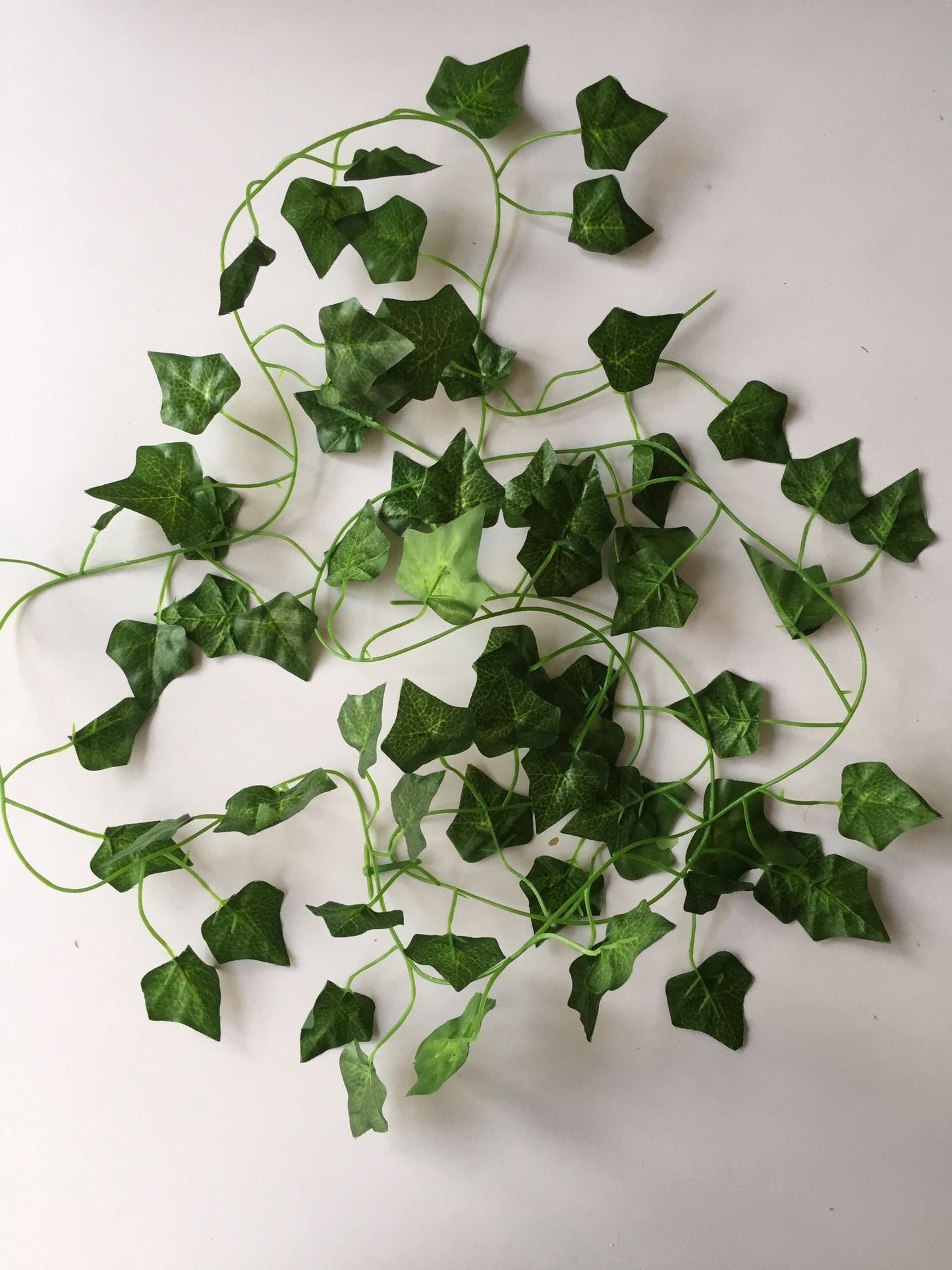 Budget Ivy Garland