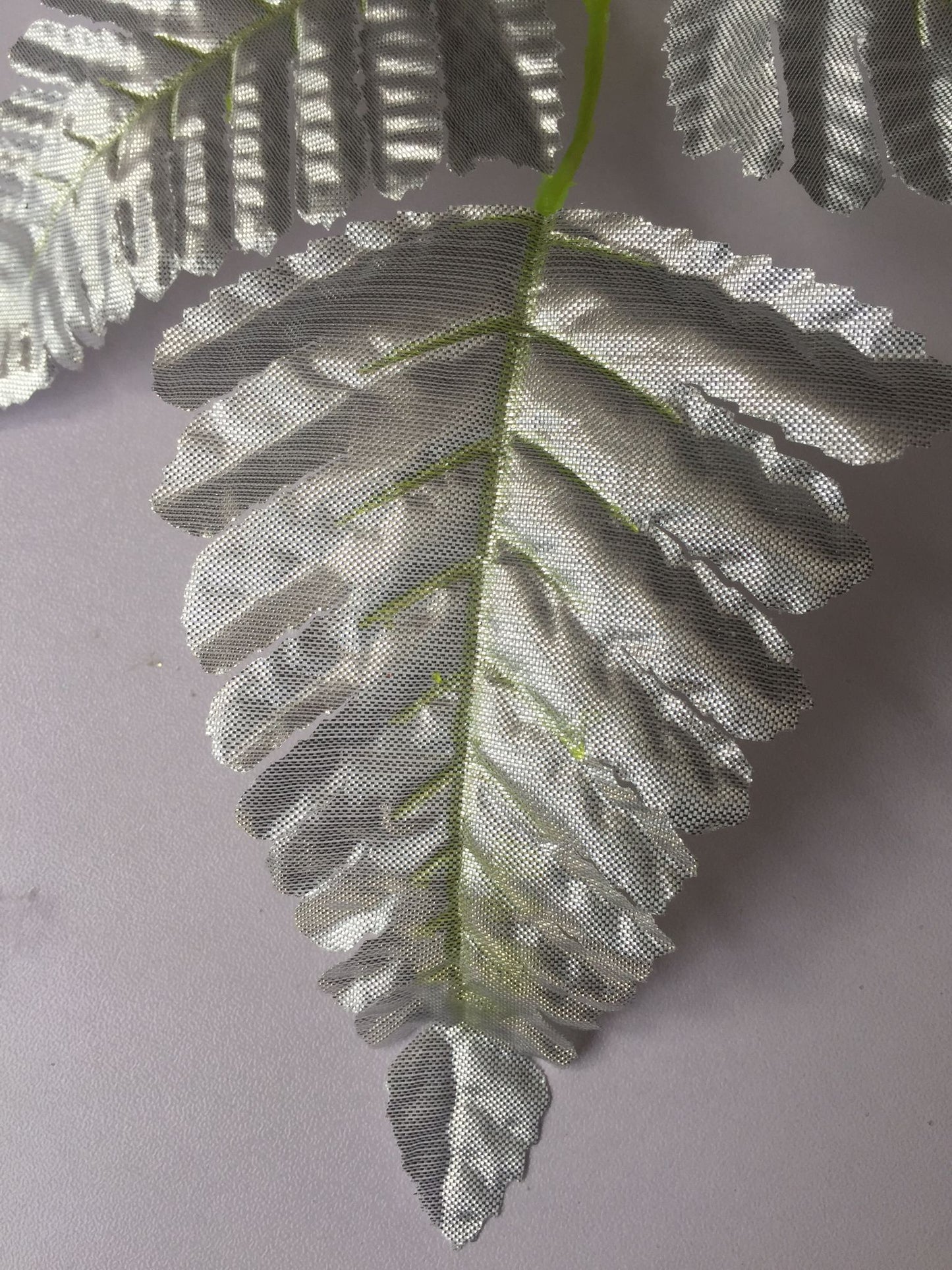 Silver Leaf Stem