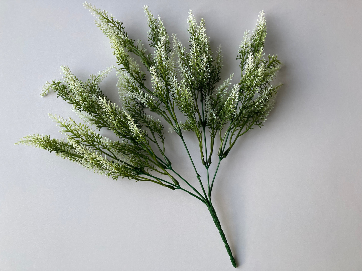 White Tipped Astilbe Bunch