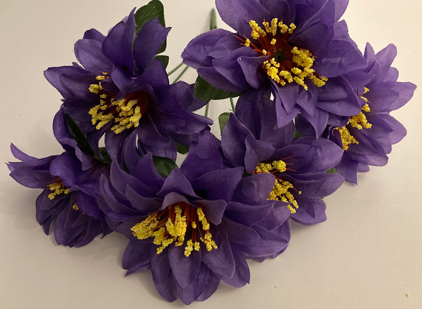 Purple Zinnia Bunch