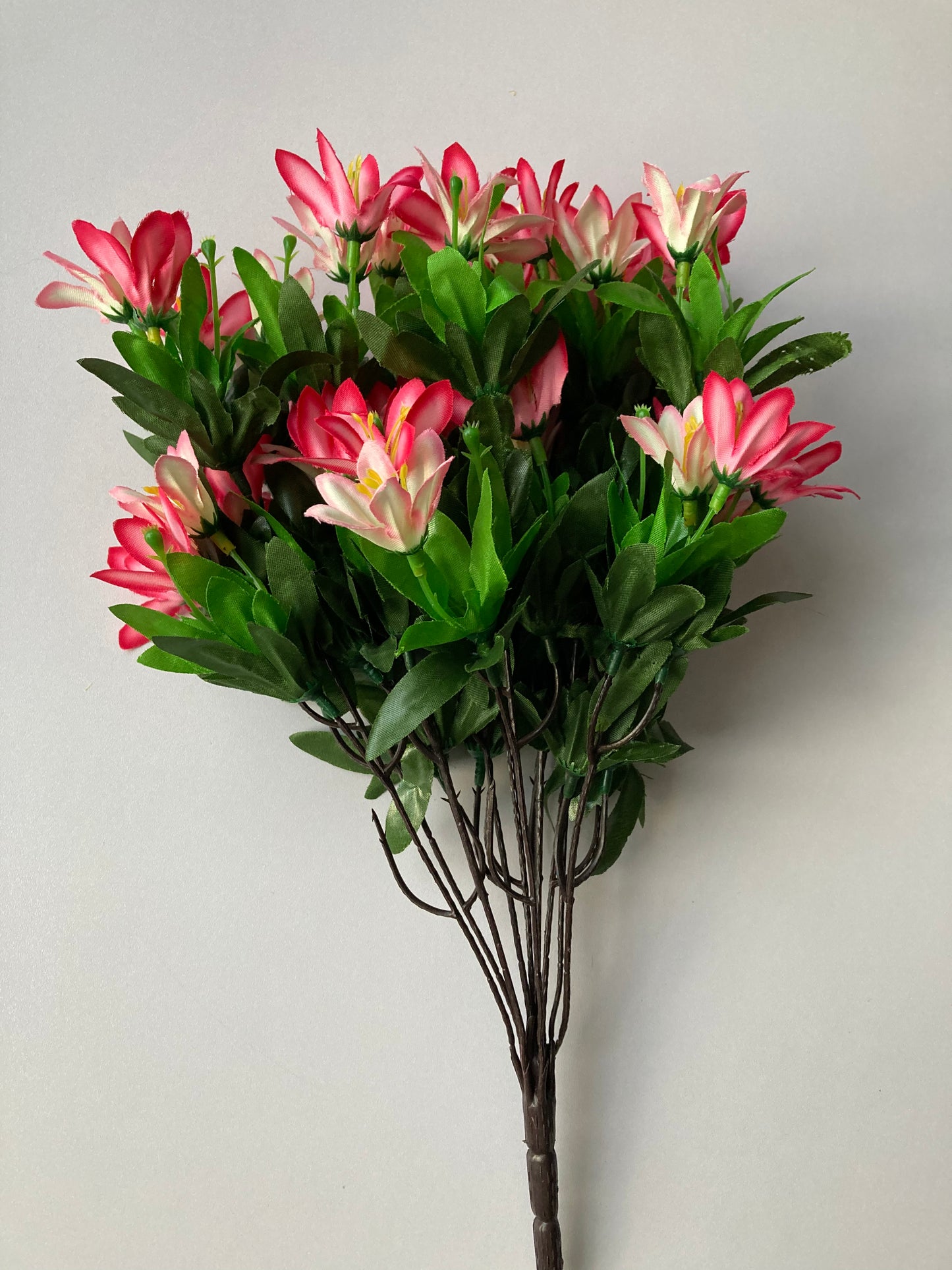 Pink Wild Lily Bush