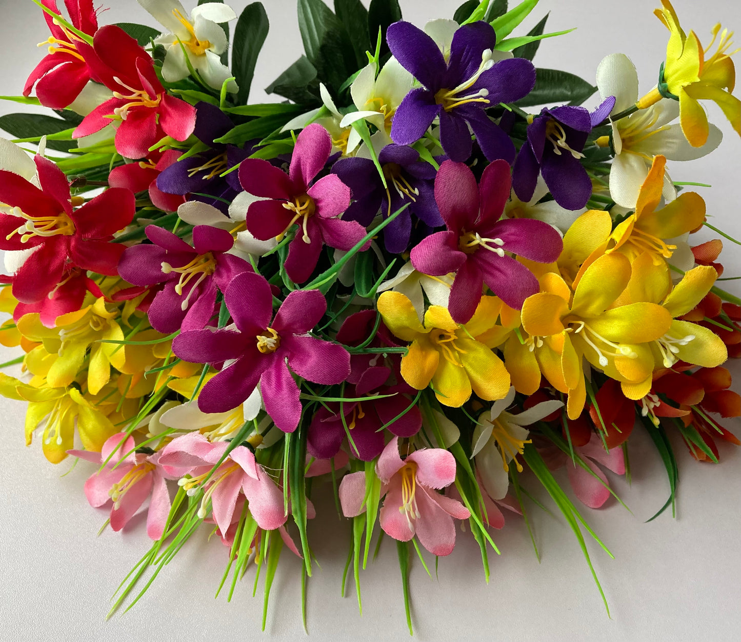Orange & White Wild Flower Bush