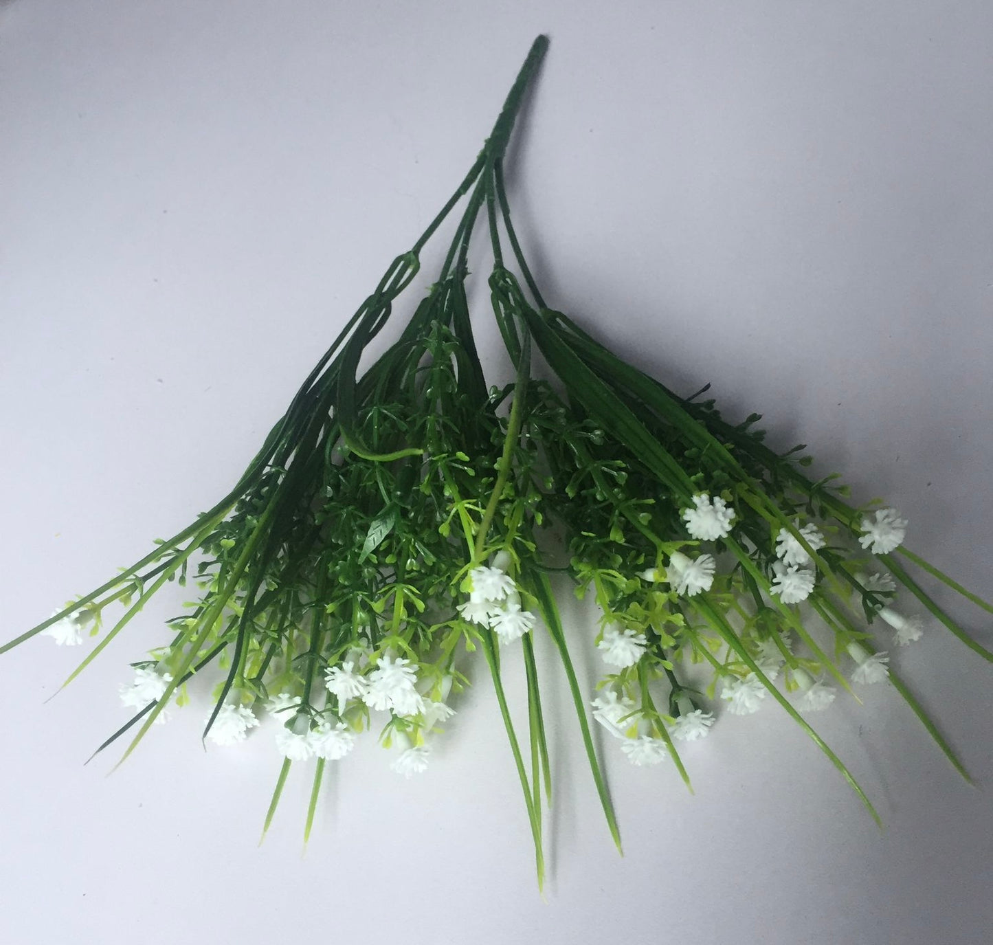 Small White Gyp Bush