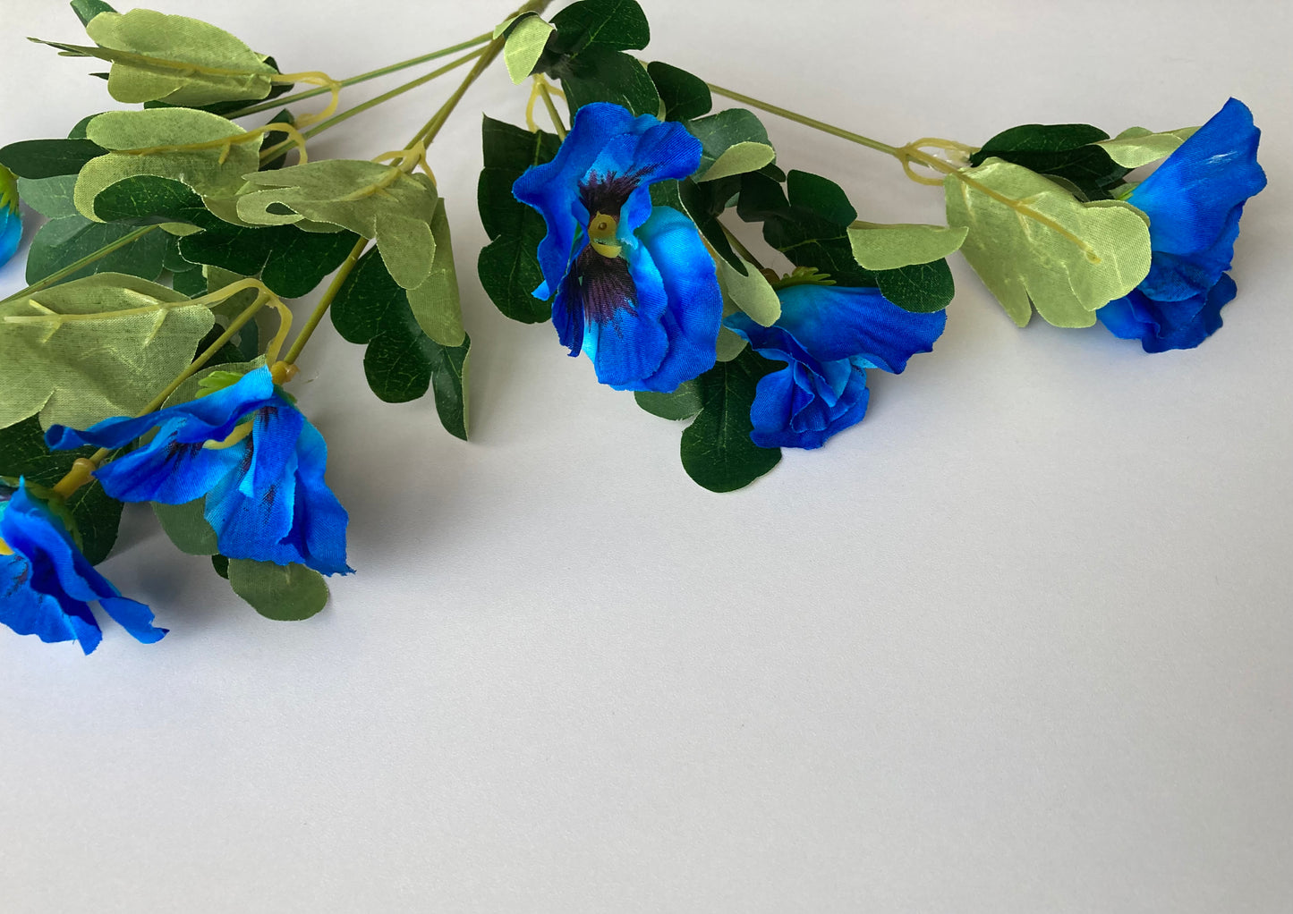 Blue Pansy Small Bunch