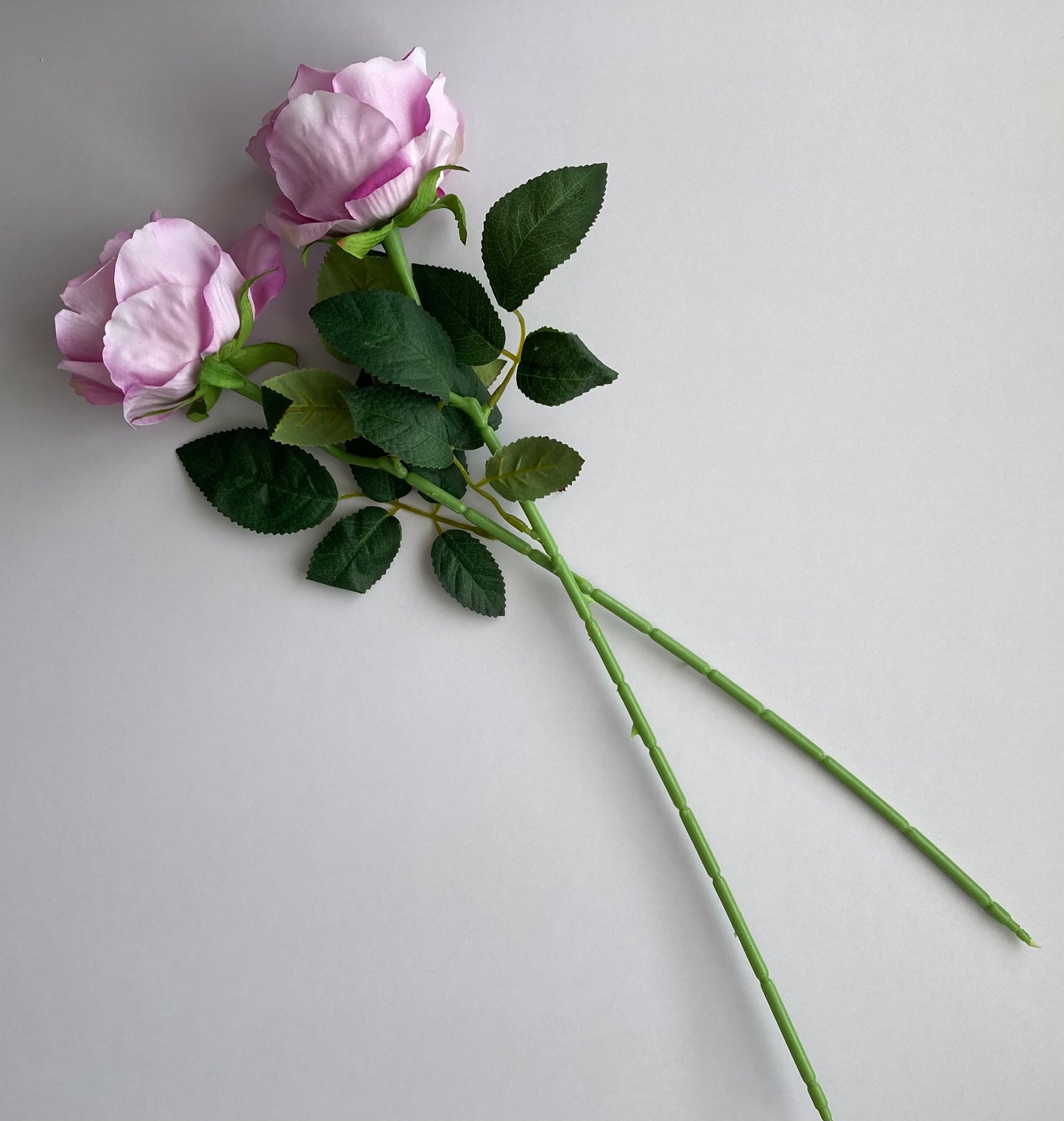 Lilac Velvet Soft Touch Rose
