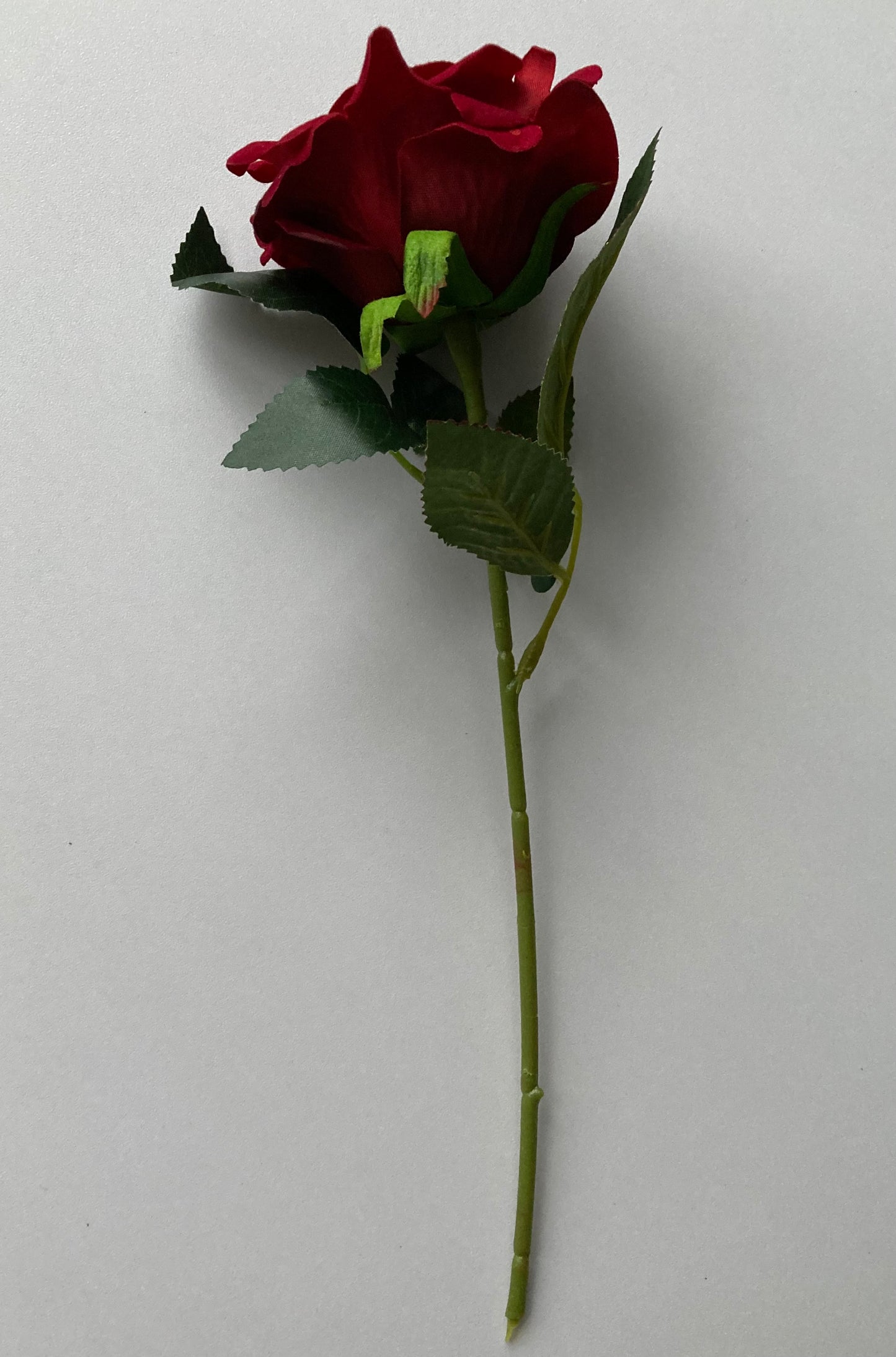 Velvet Short Stem Red Rose