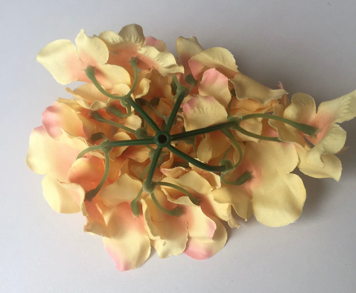 5 Peach Hydrangea Bunch Heads