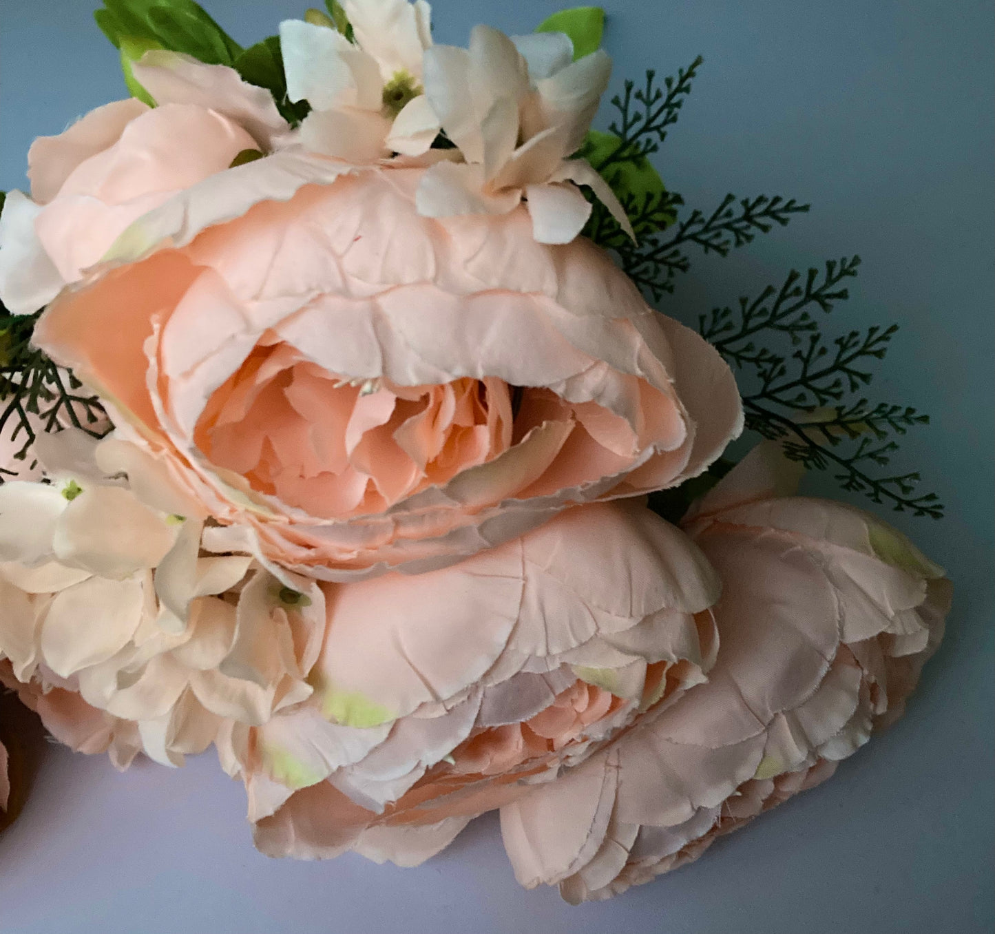 Peach Peony Bush