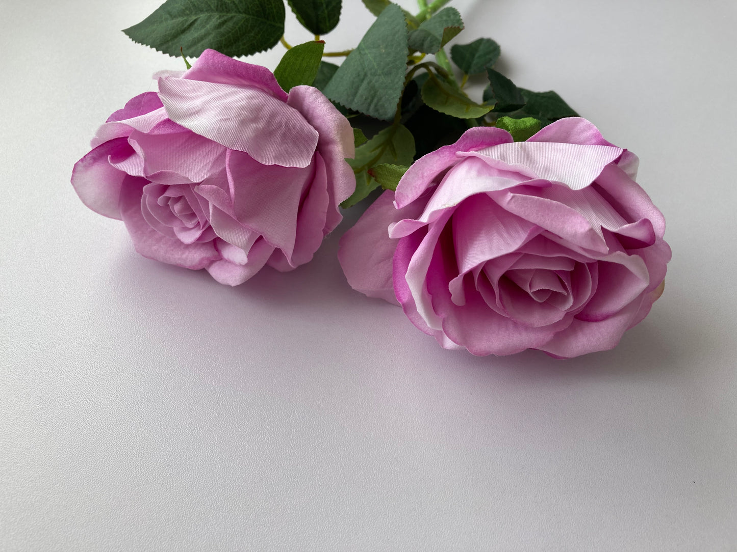 Lilac Velvet Soft Touch Rose
