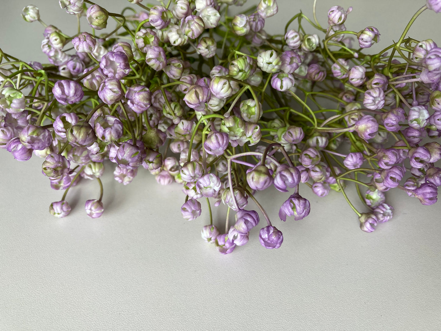 6 Purple Baby's Breath Bunch