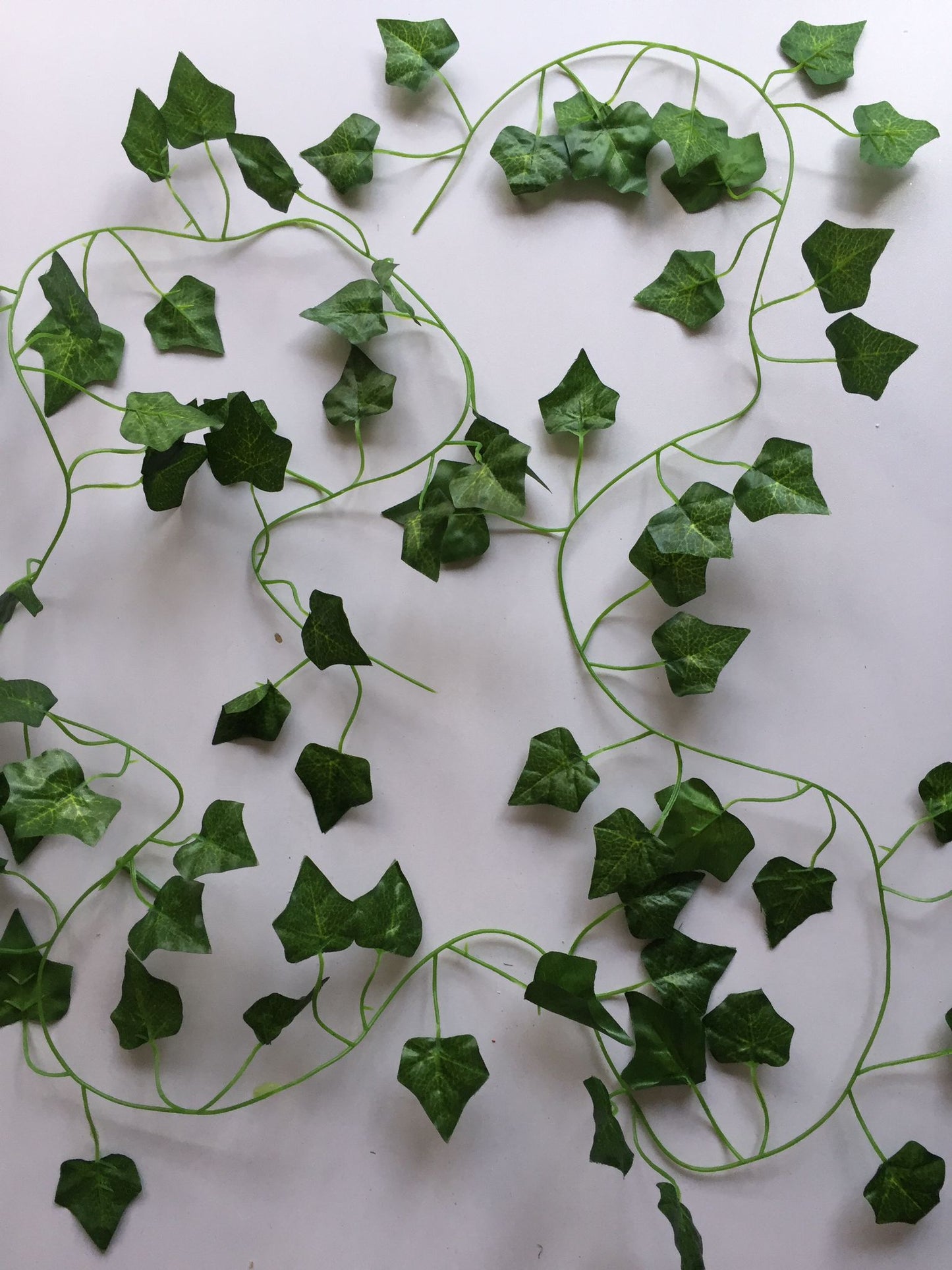 Budget Ivy Garland