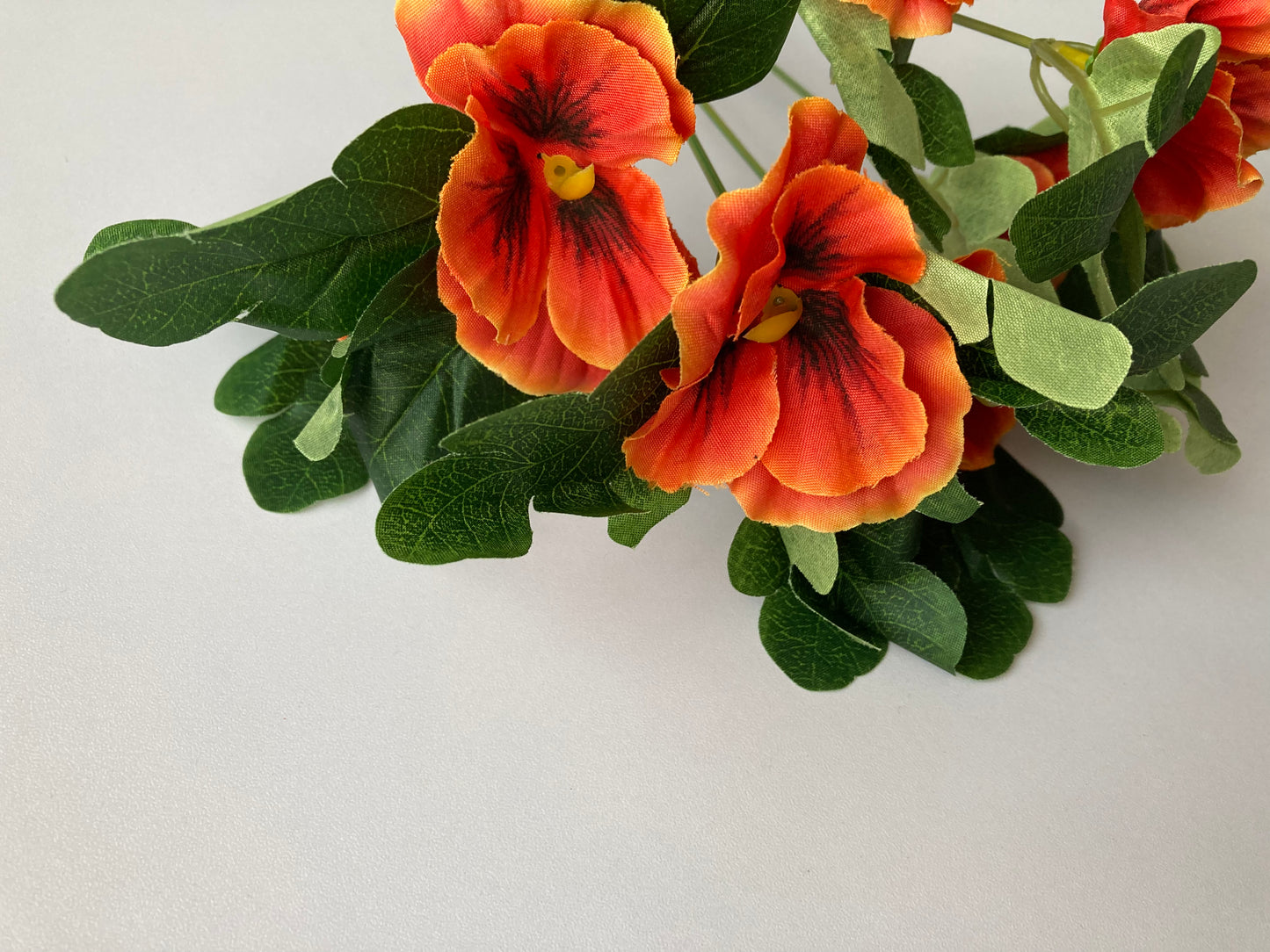 Orange Pansy Bunch