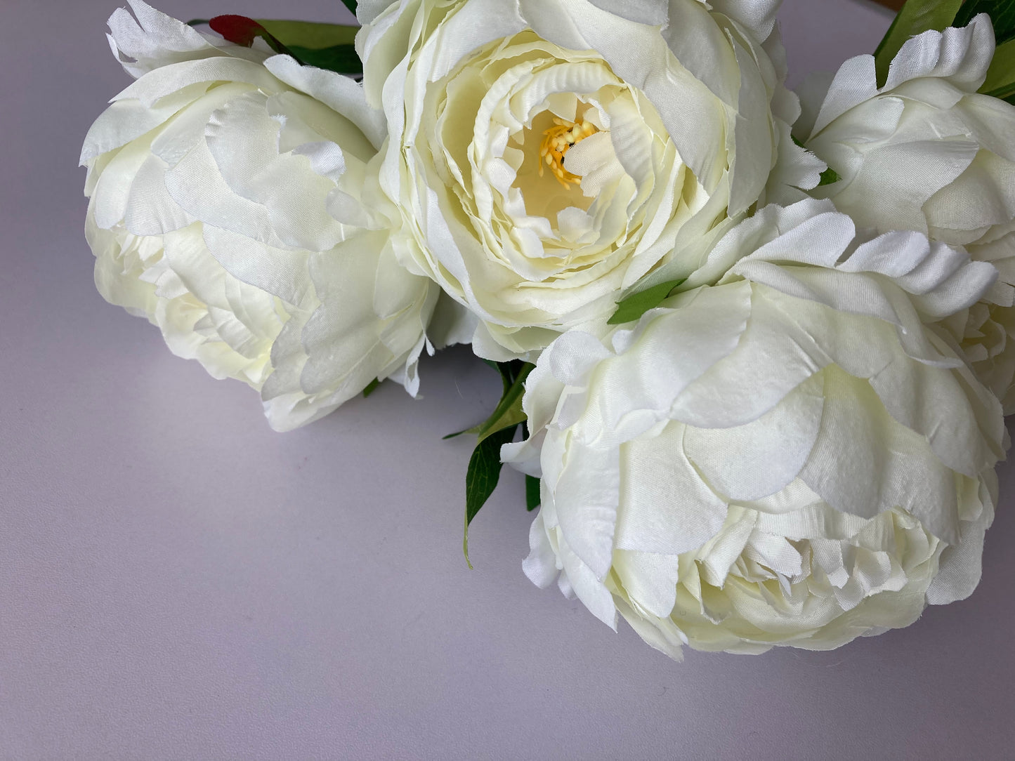 Large 5 Stem Ivory Peony Bunch