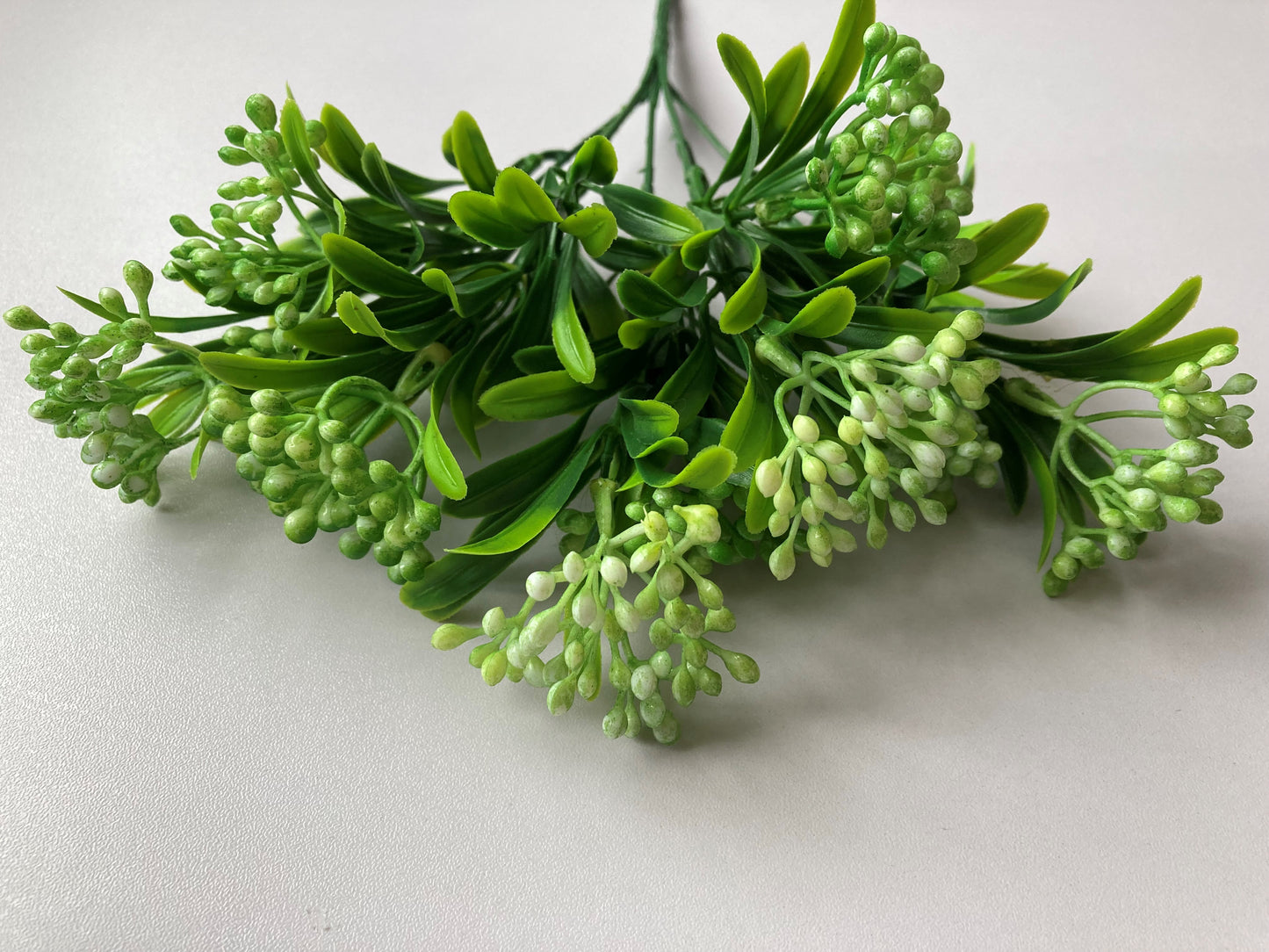 Green Berries