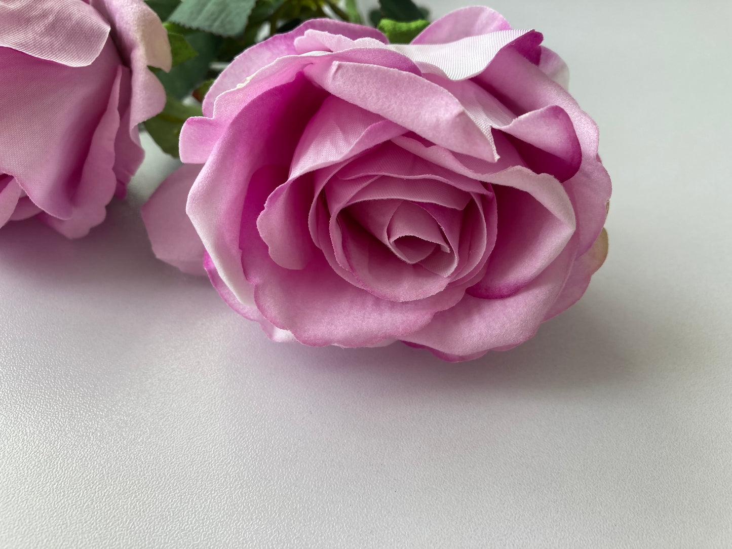 Lilac Velvet Soft Touch Rose