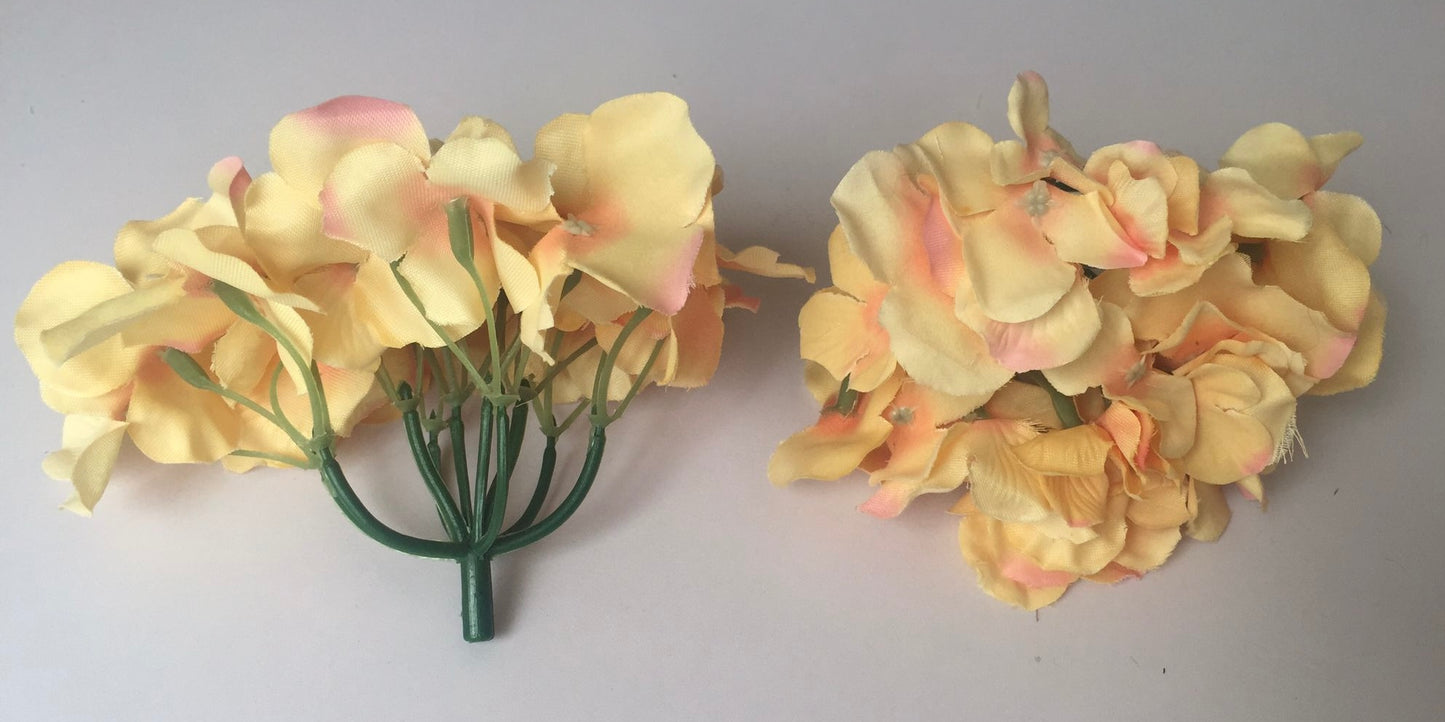 5 Peach Hydrangea Bunch Heads