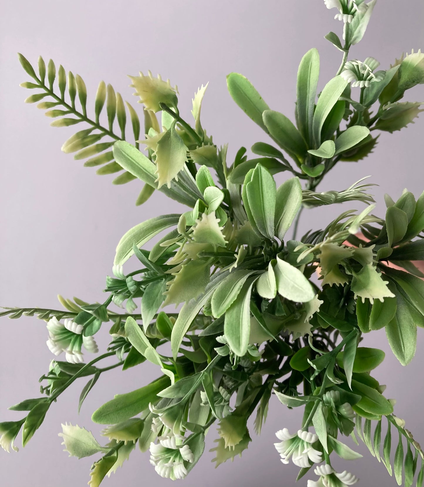 White & Green Mixed Foliage