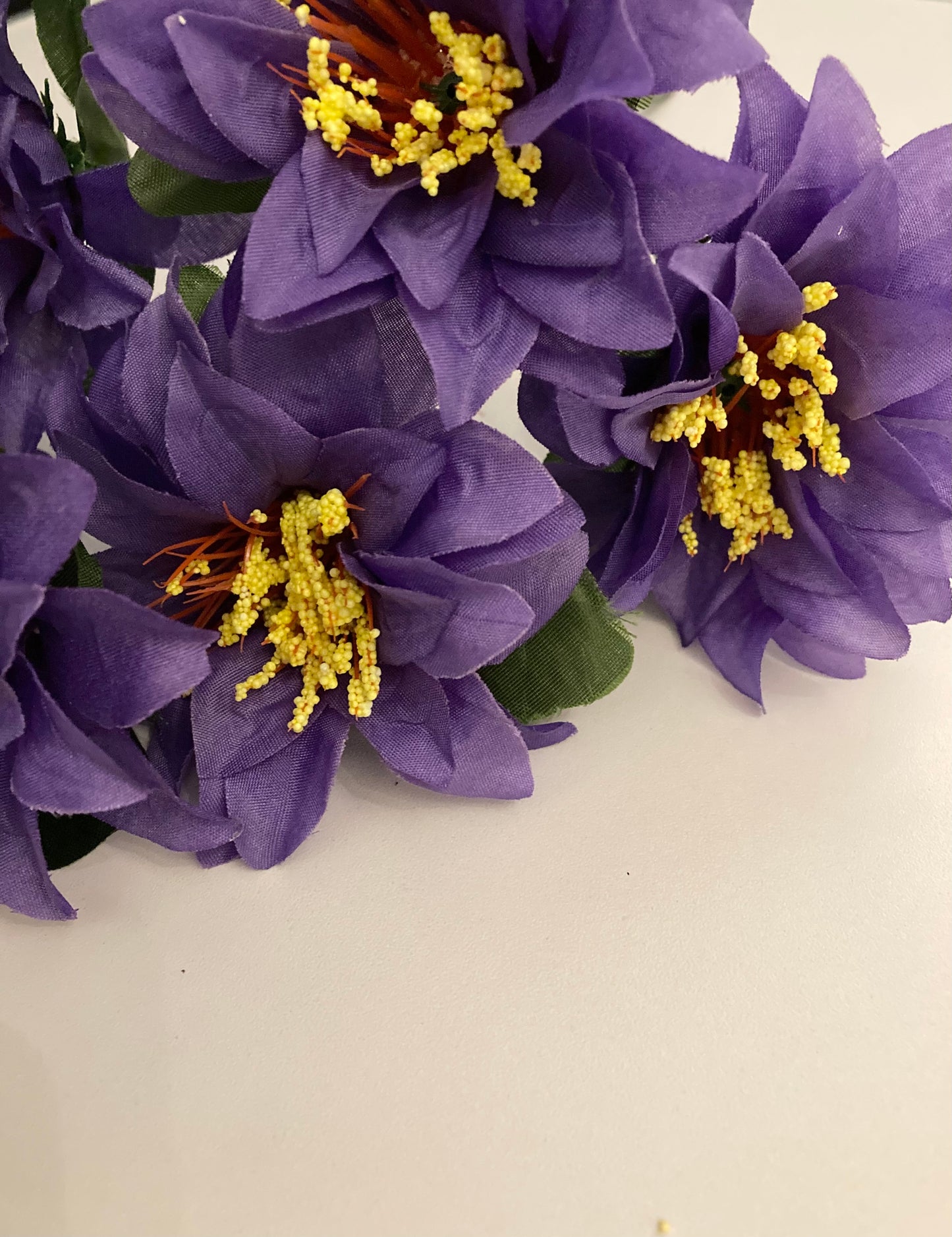 Purple Zinnia Bunch