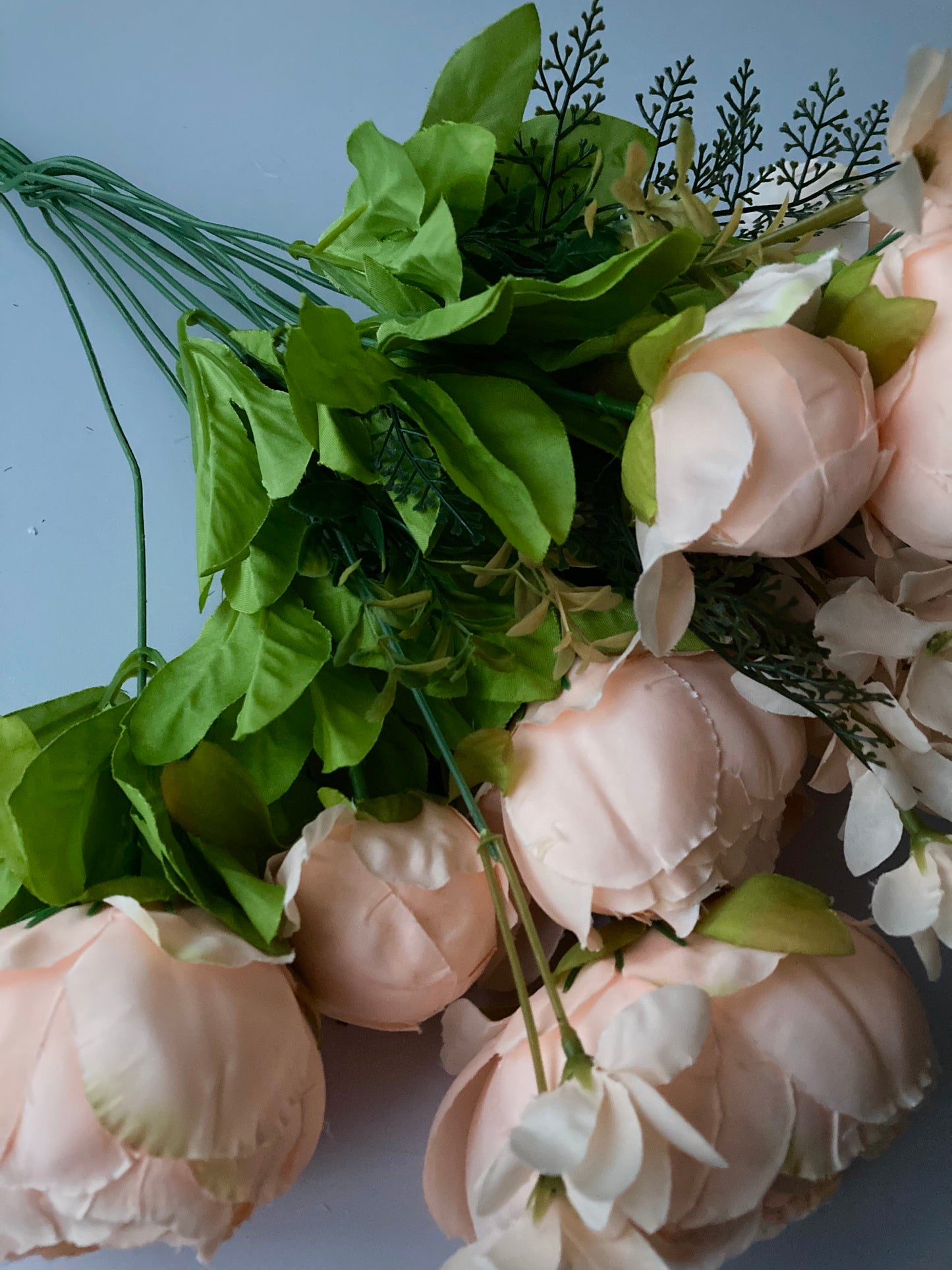 Peach Peony Bush
