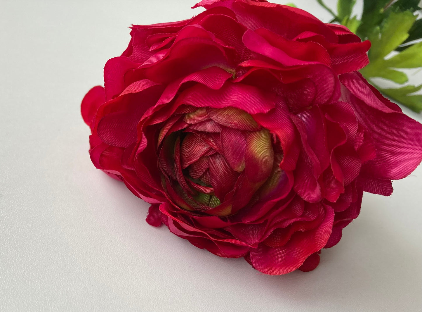 Open Deluxe Ranunculus Stem