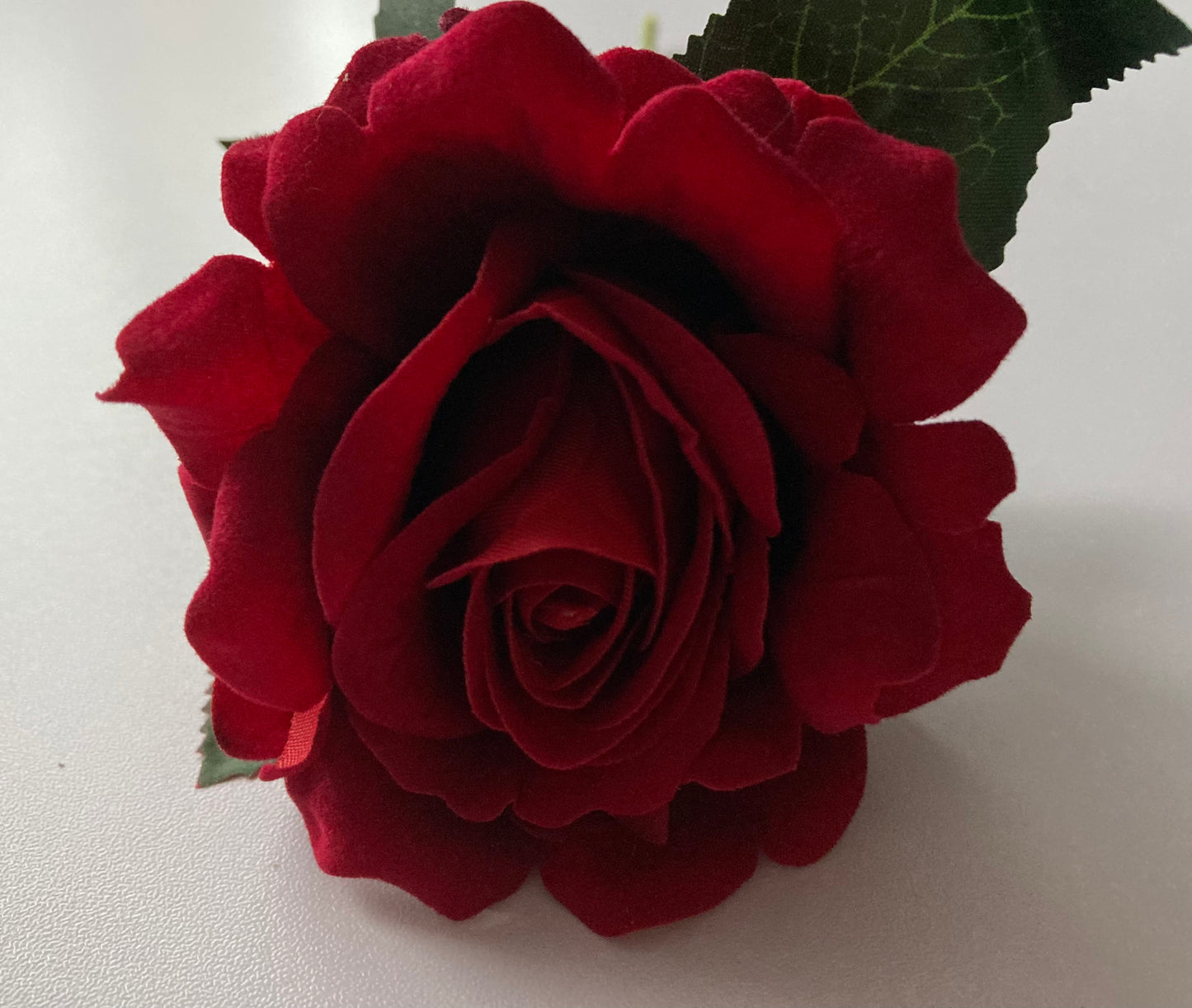 Velvet Short Stem Red Rose