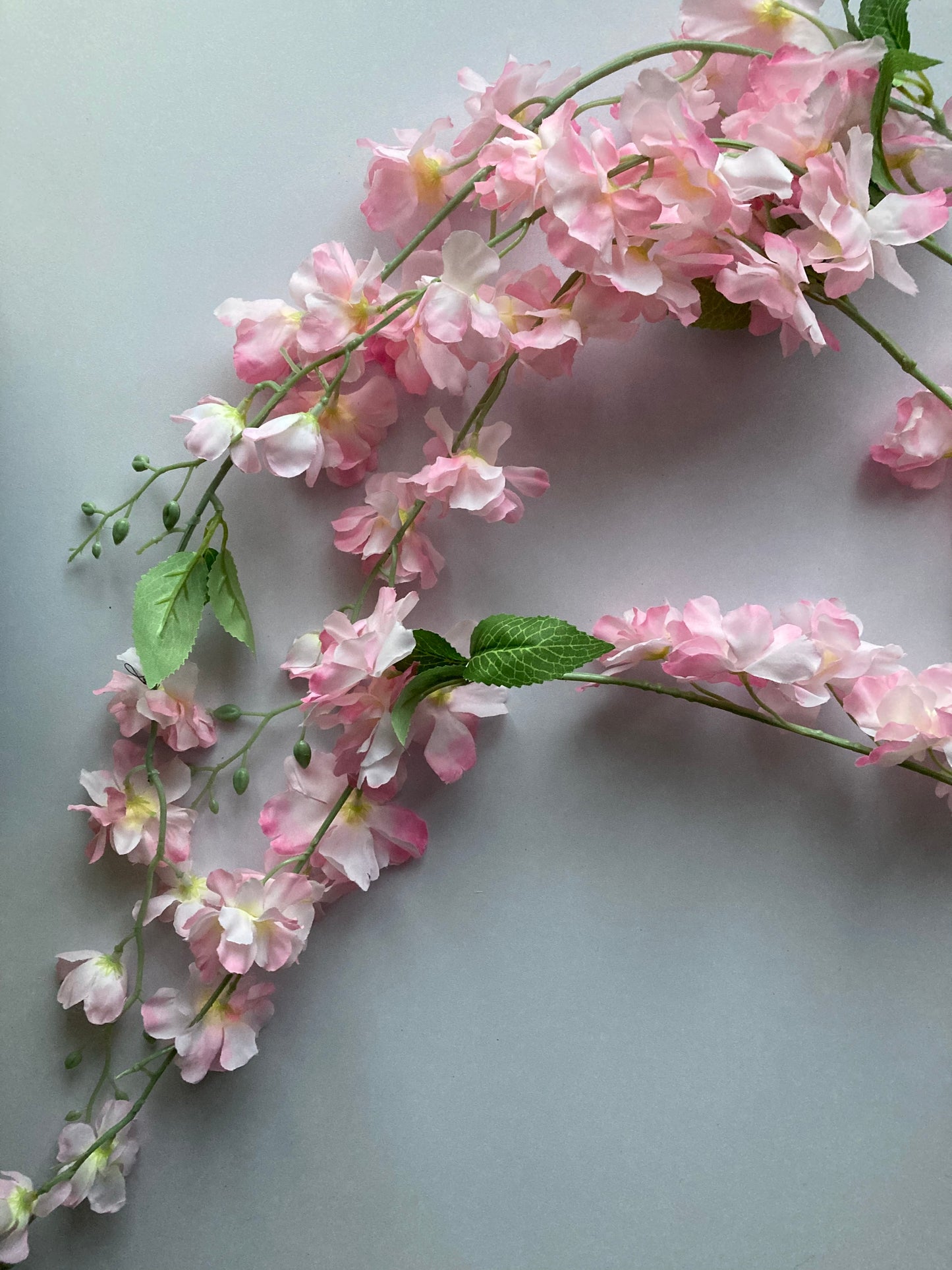 Pink Delphinium Trailing
