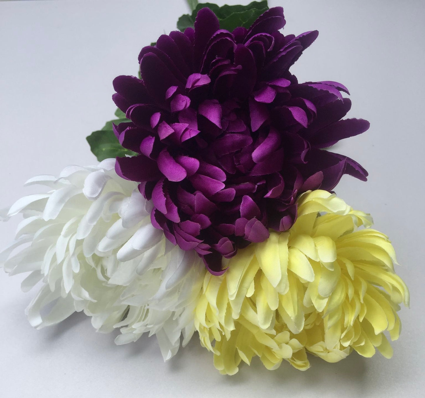 White Chrysanthemum Stem