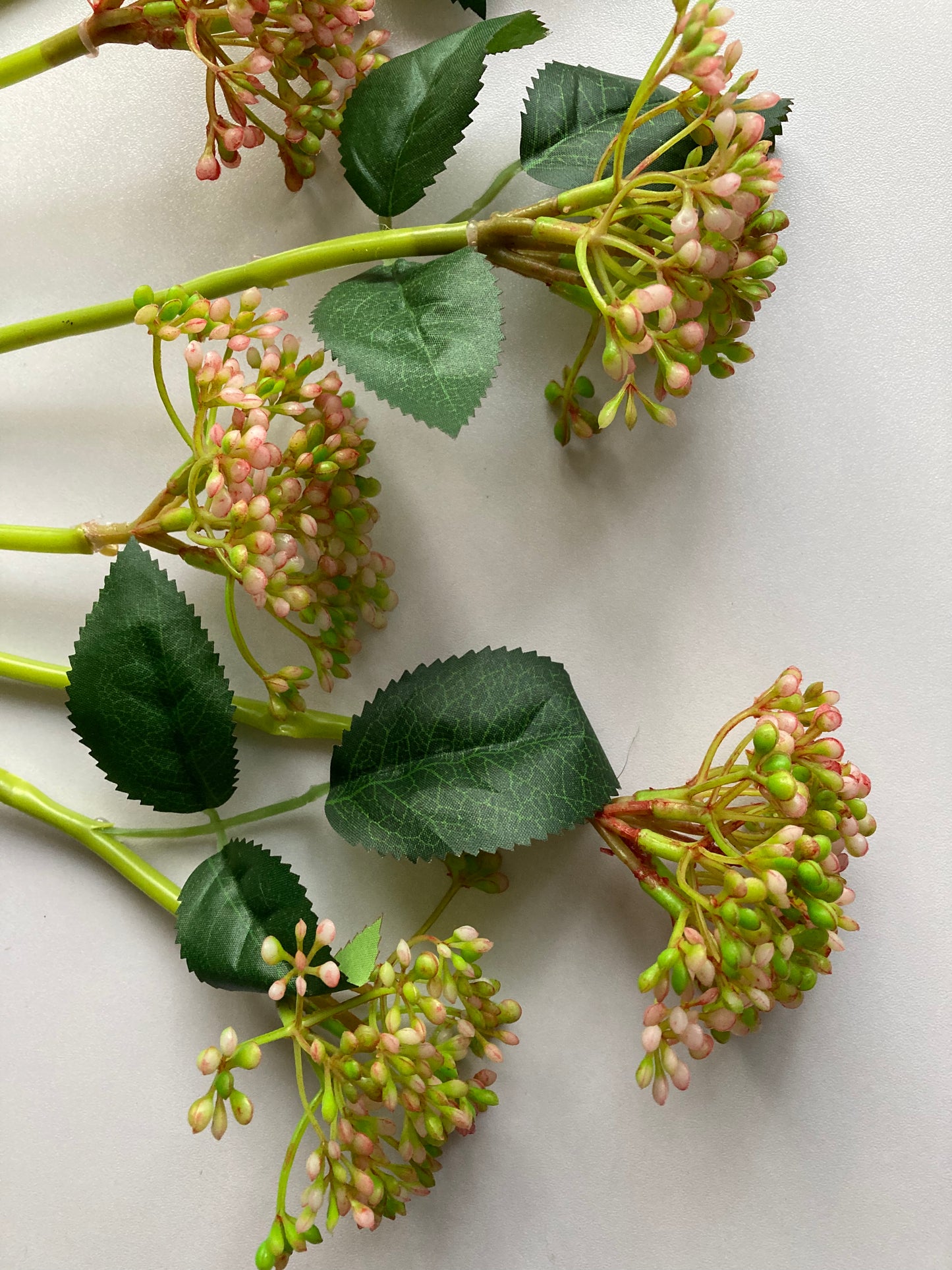 Pink & Green Berries Bunch