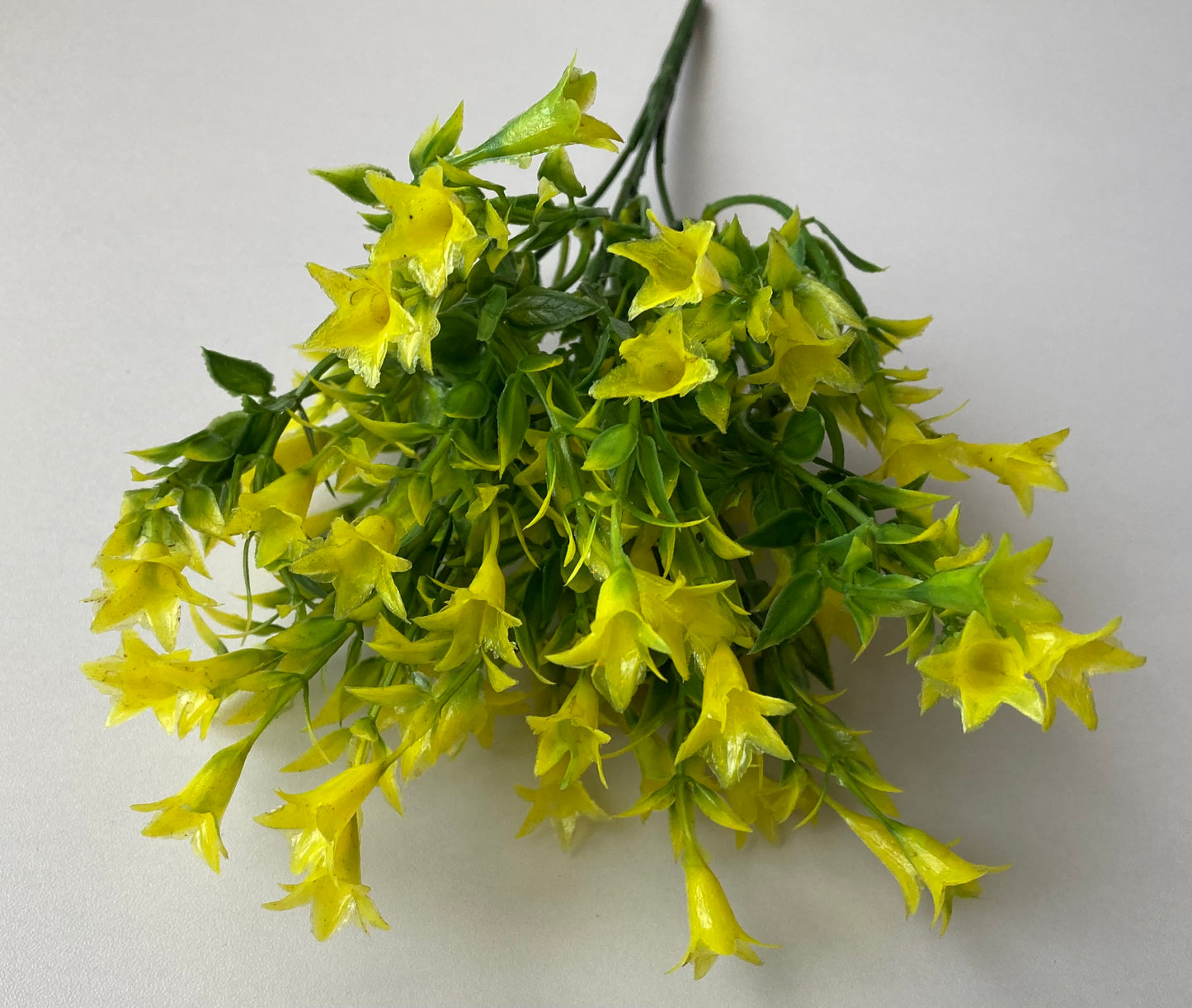 Yellow Wild Lily Flower Foliage