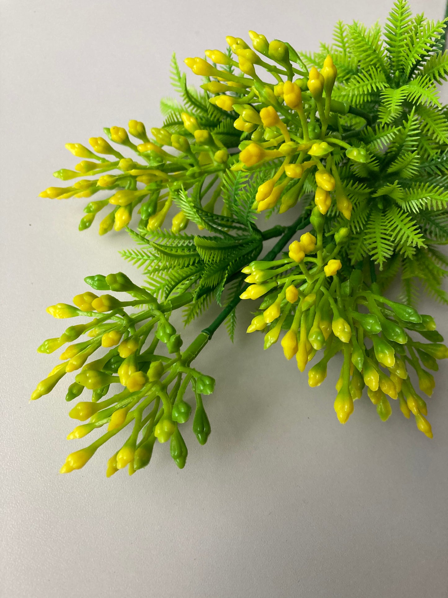 Yellow Berry Bush